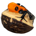 Black And Orange Poison Dart Frog Tagua Carving
