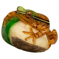 Brown And Green Poison Dart Frog Tagua Carving