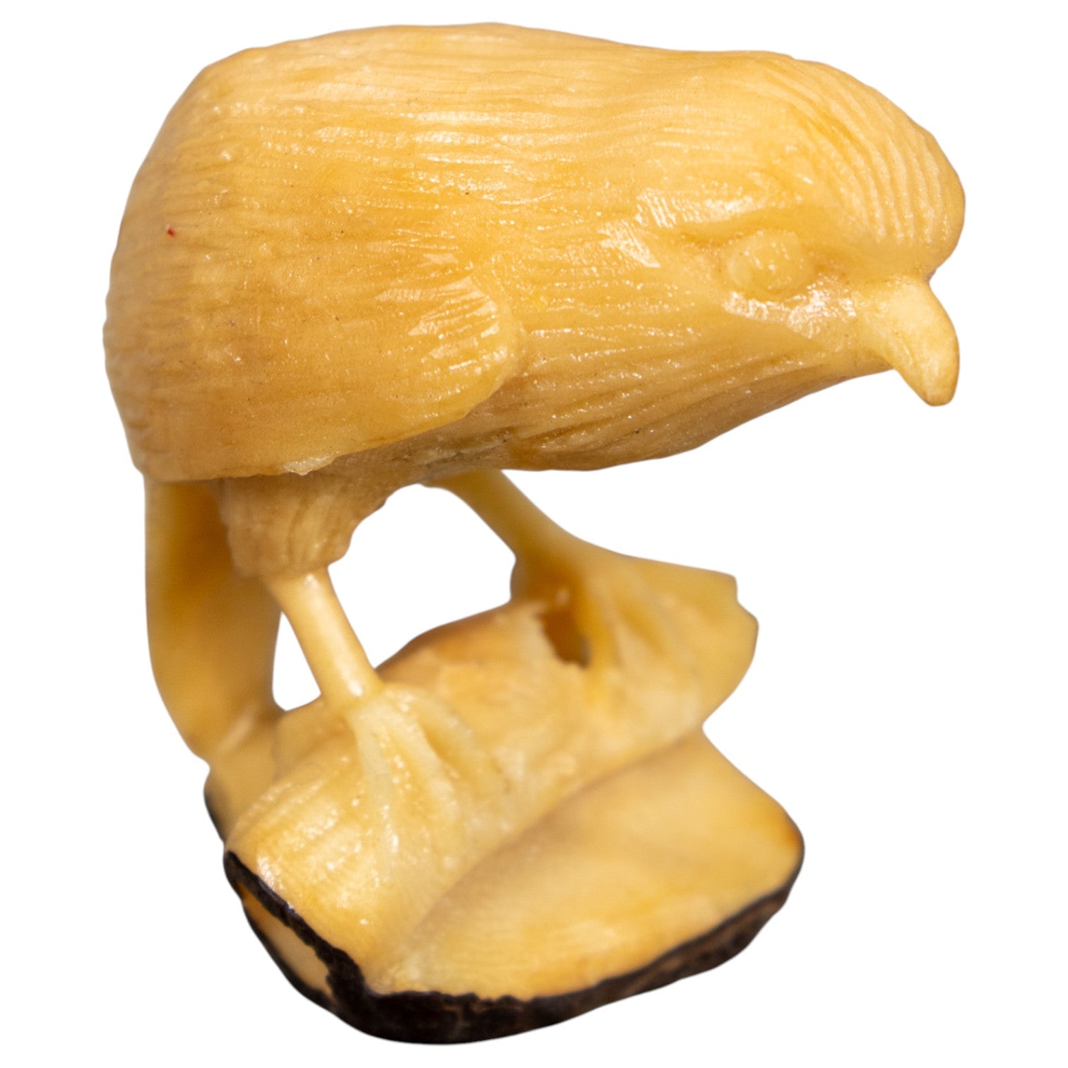 Natural White Seed Eater Bird Tagua Carving