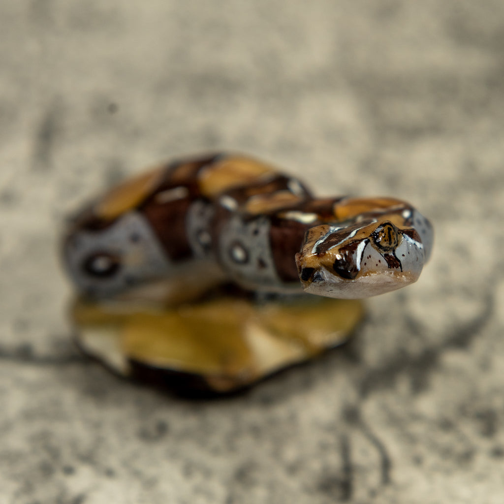 Boa Constrictor Snake Tagua Carving