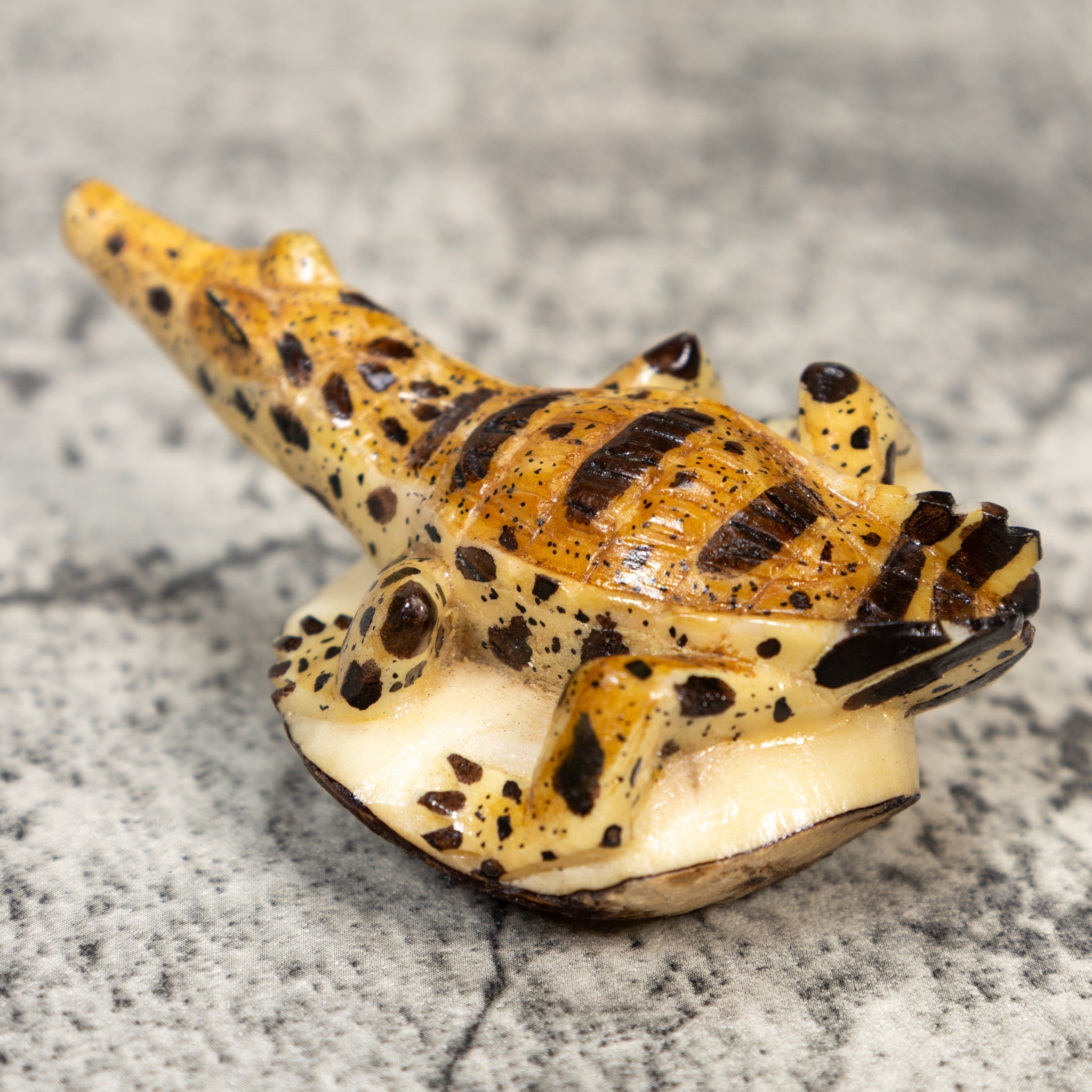 Gorgeous Alligator Crocodile Caiman Tagua Carving