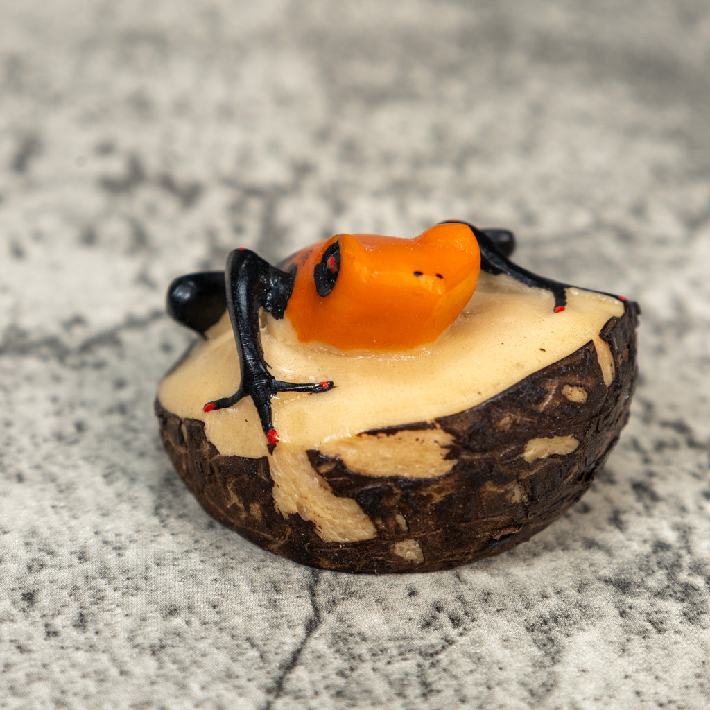 Black And Orange Poison Dart Frog Tagua Carving