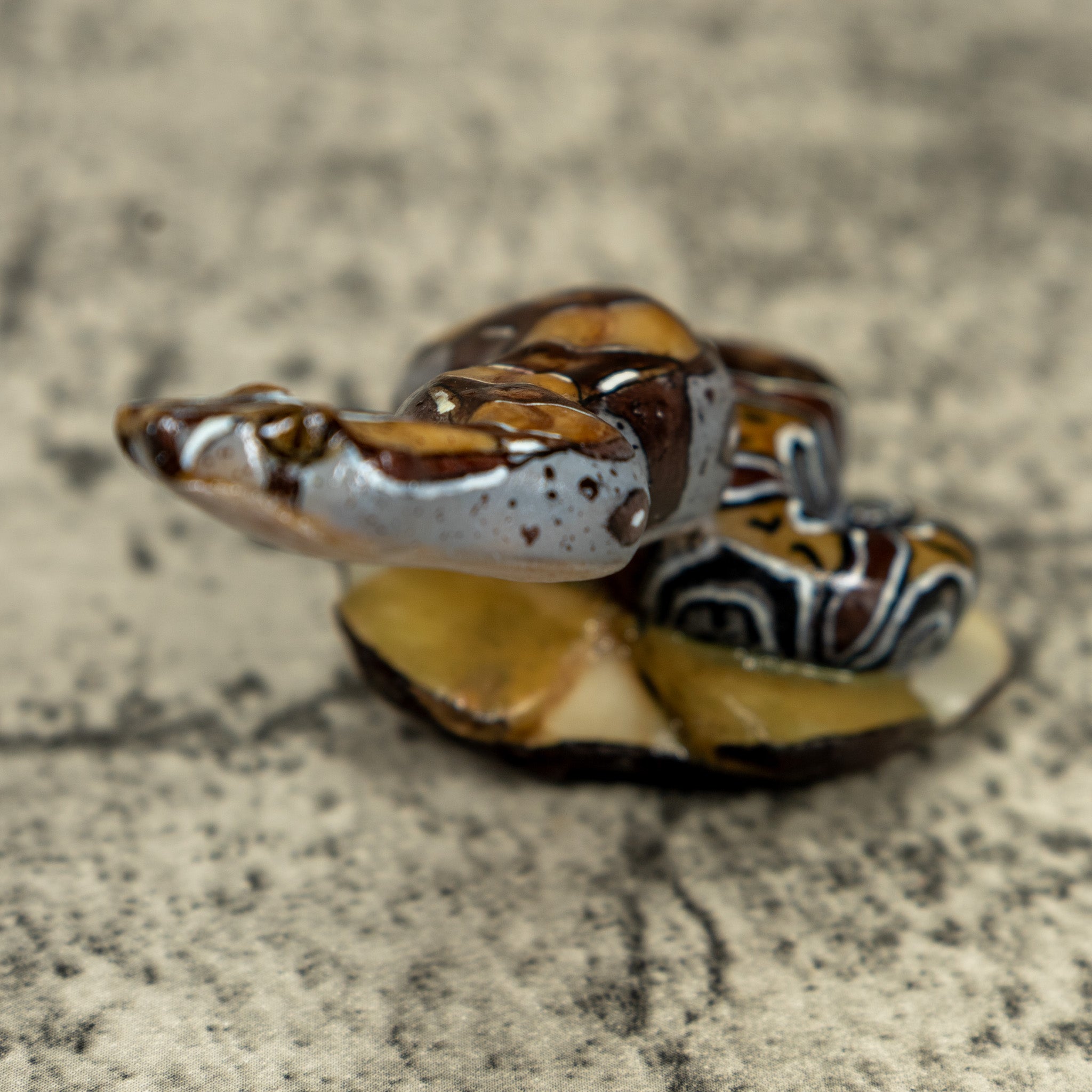 Boa Constrictor Snake Tagua Carving