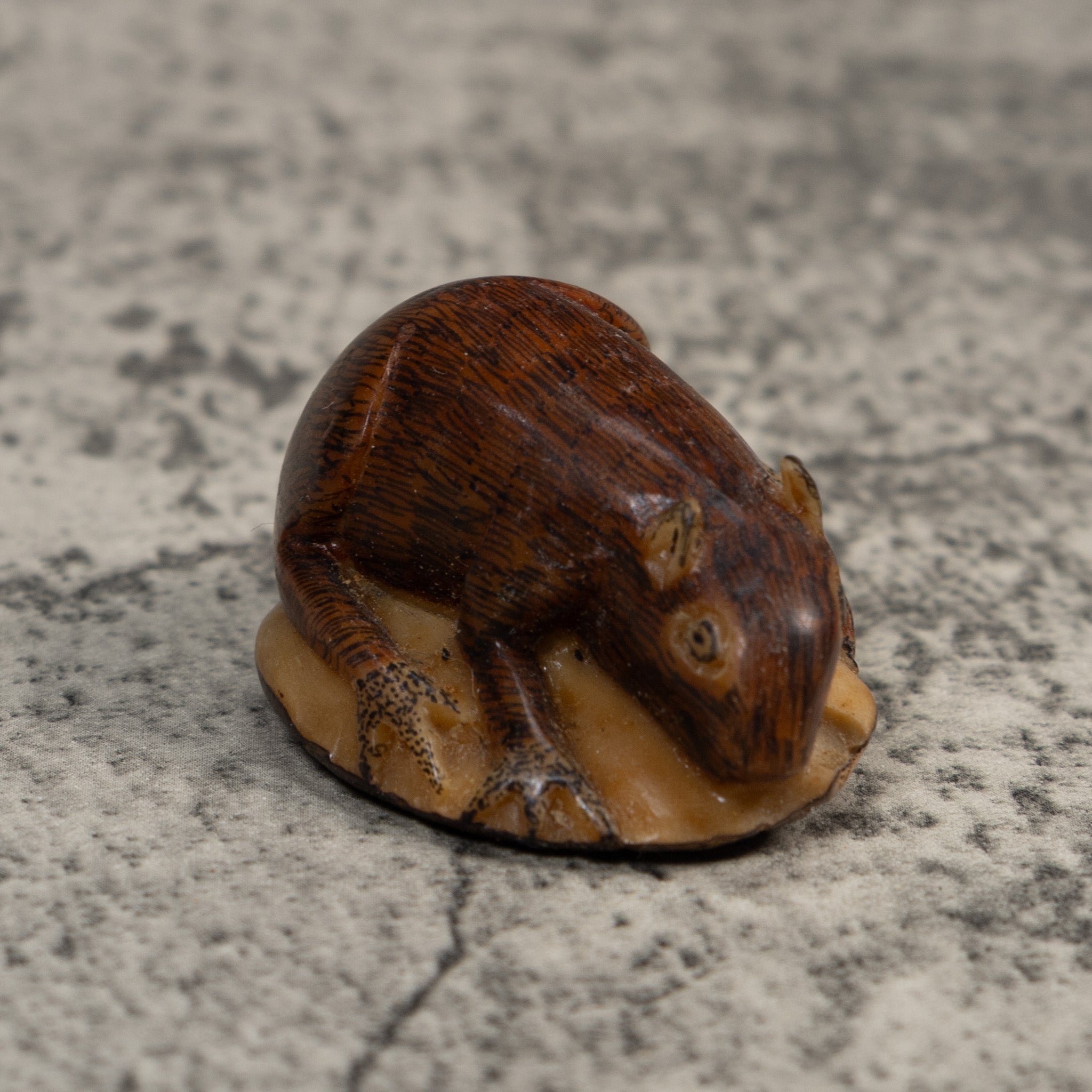 Vintage Neque Agouti Tagua Carving