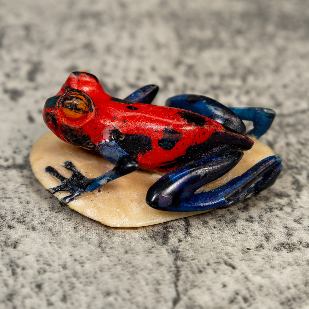 Red Blue And Black Frog Tagua Carving