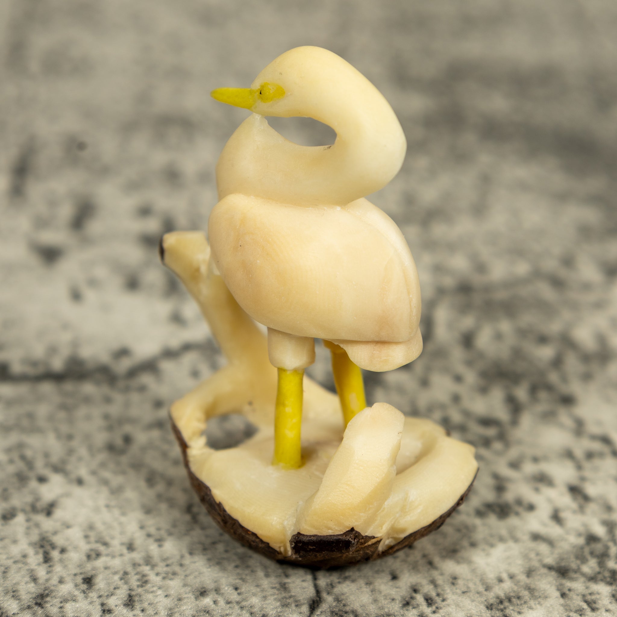 Natural White Waterbird Huron Tagua Carving