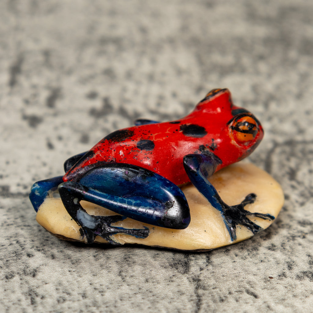 Red Blue And Black Frog Tagua Carving