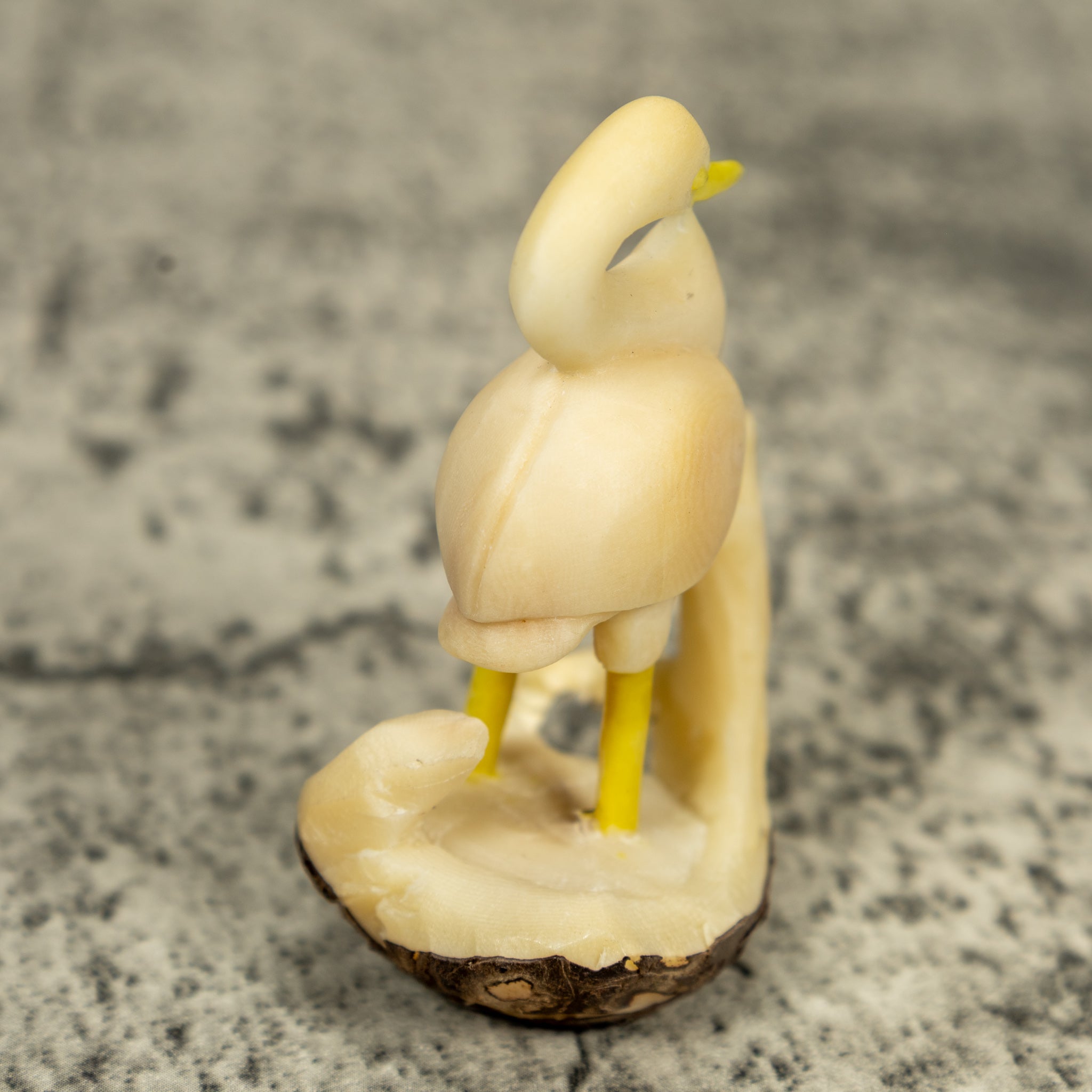 Natural White Waterbird Huron Tagua Carving