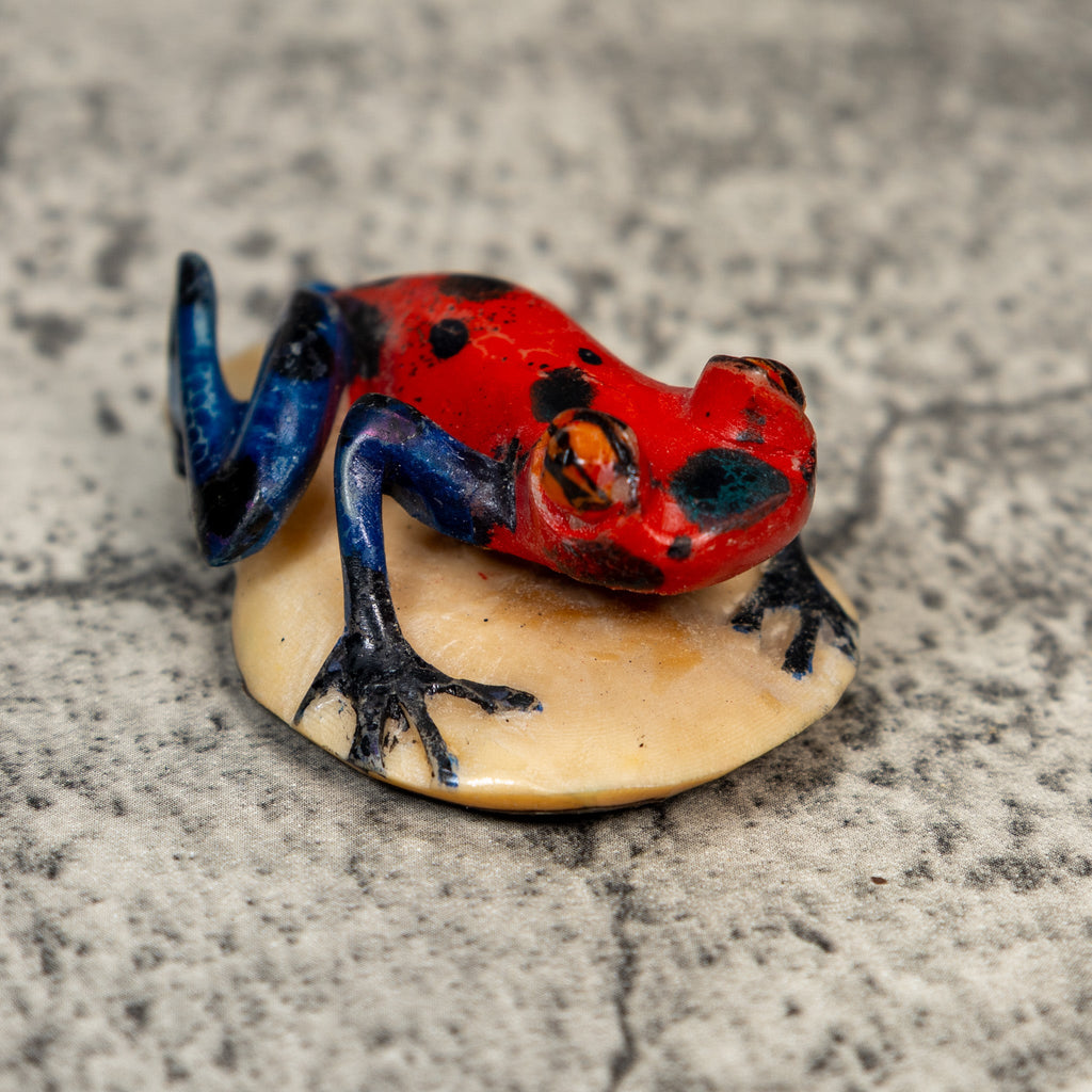 Red Blue And Black Frog Tagua Carving