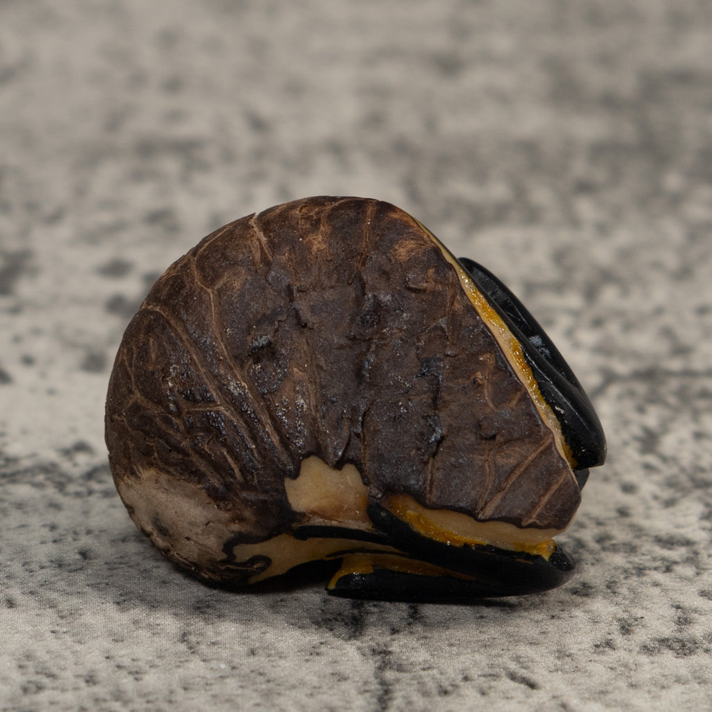 Gold And Black Poison Dart Frog Tagua Carving