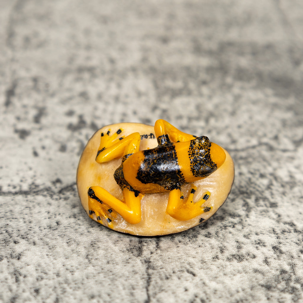 Gold And Black Poison Dart Frog Tagua Carving