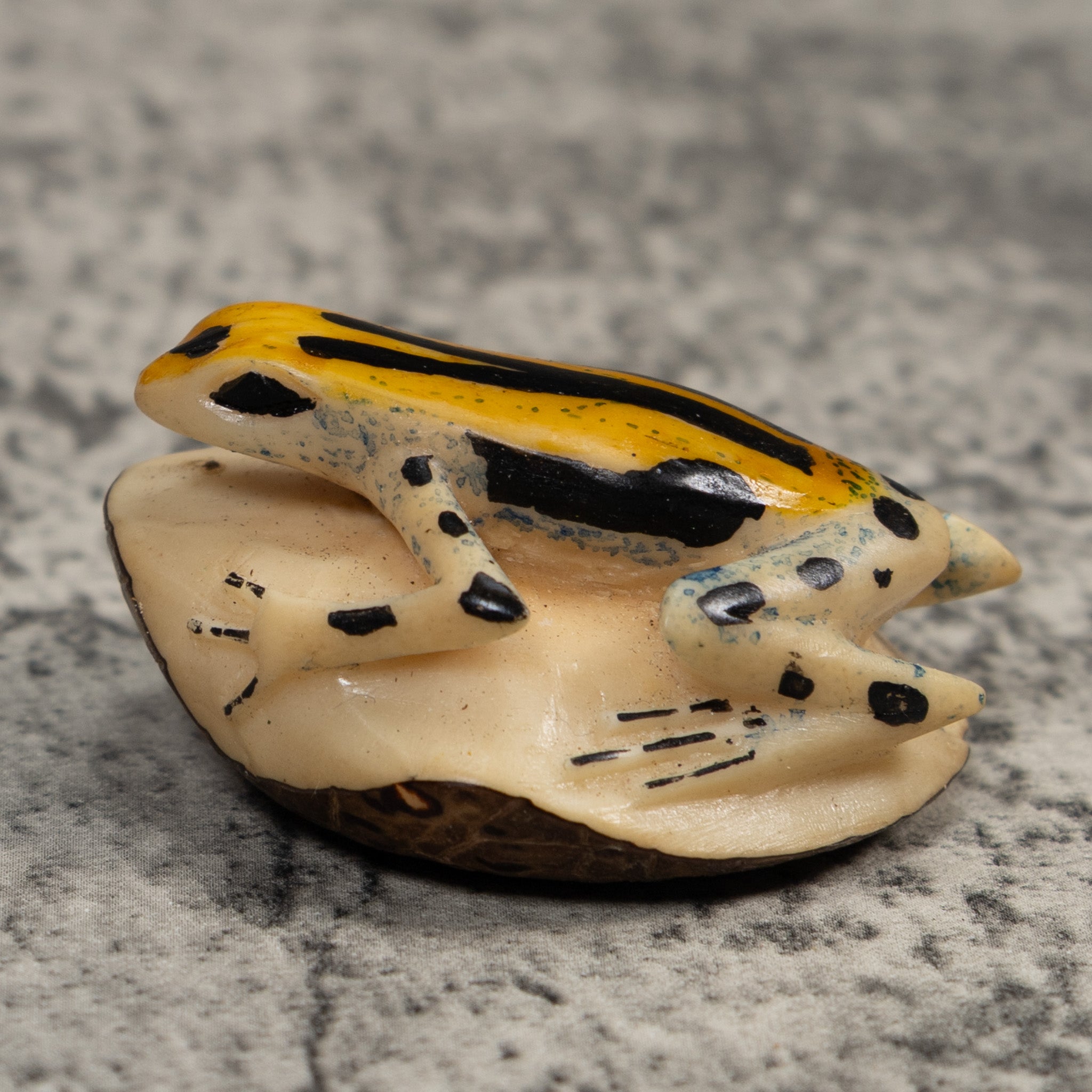 Gold Black And Blue Poison Dart Frog Tagua Carving