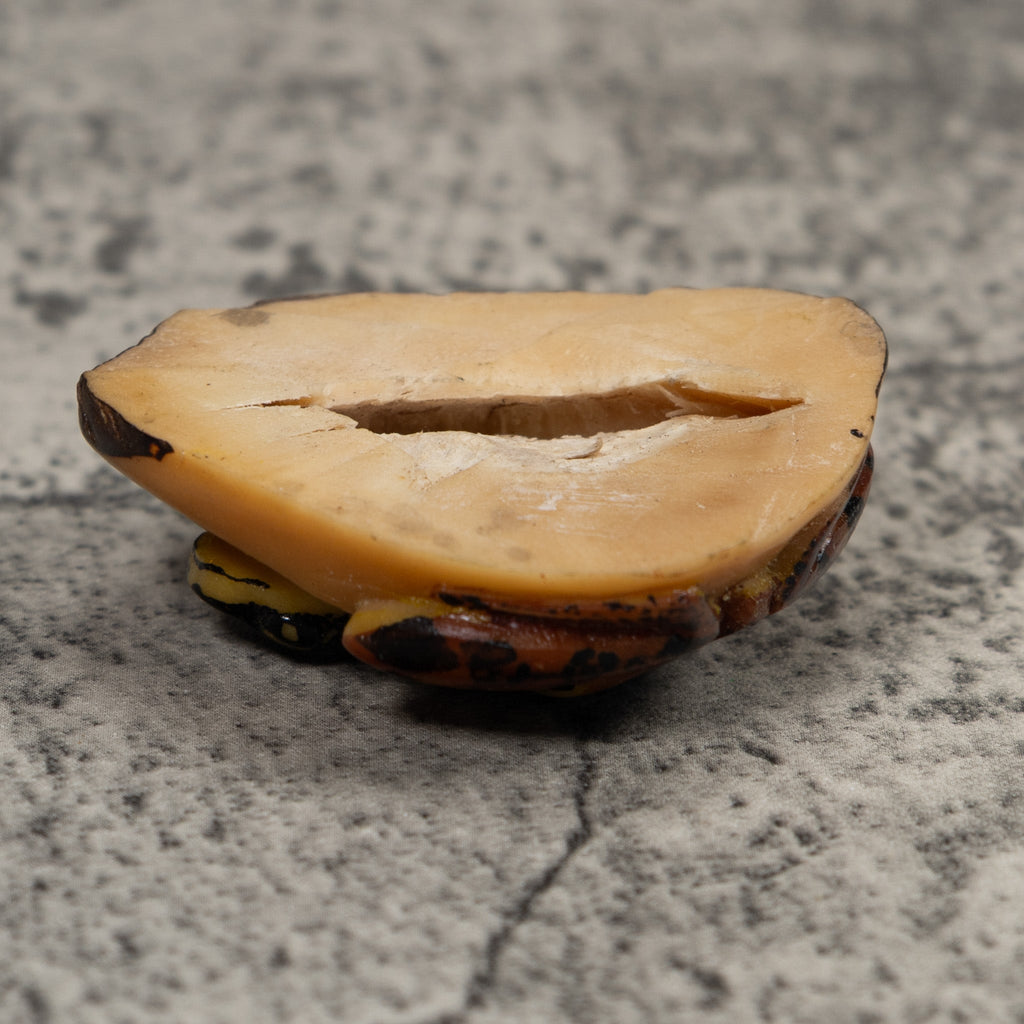 Vintage Brown And Black Frog Tagua Carving