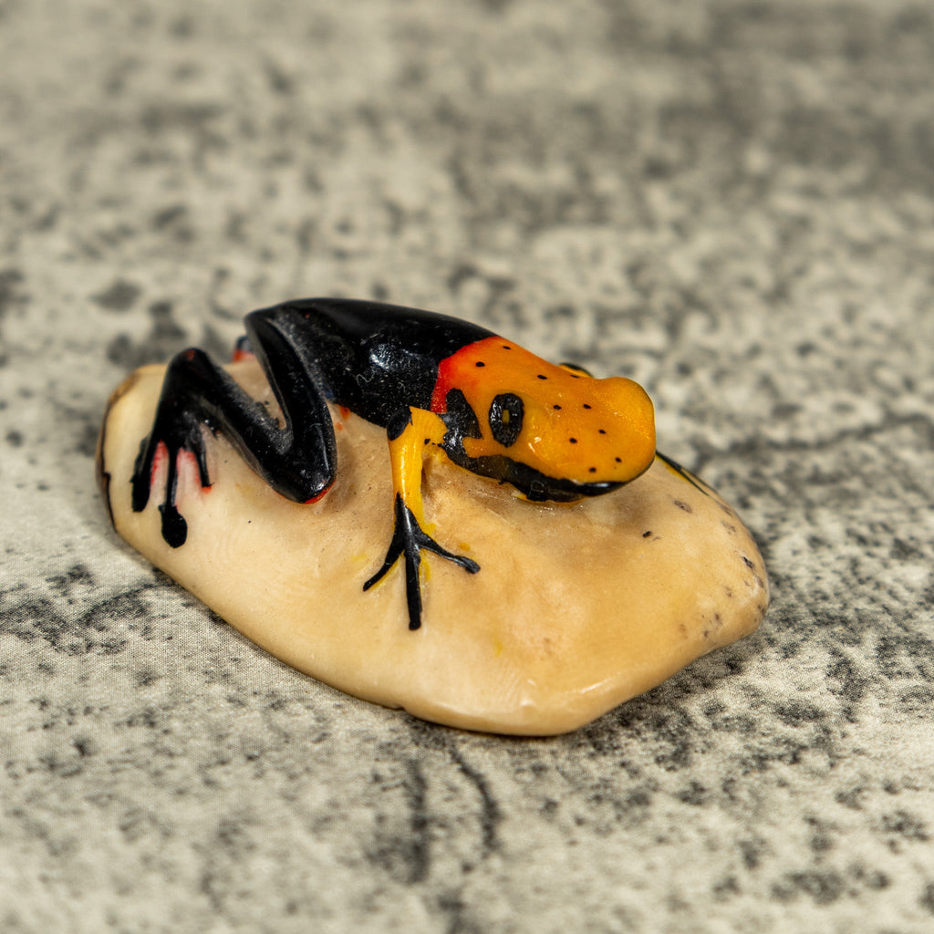 Vintage Black And Orange Poison Dart Frog Tagua Carving