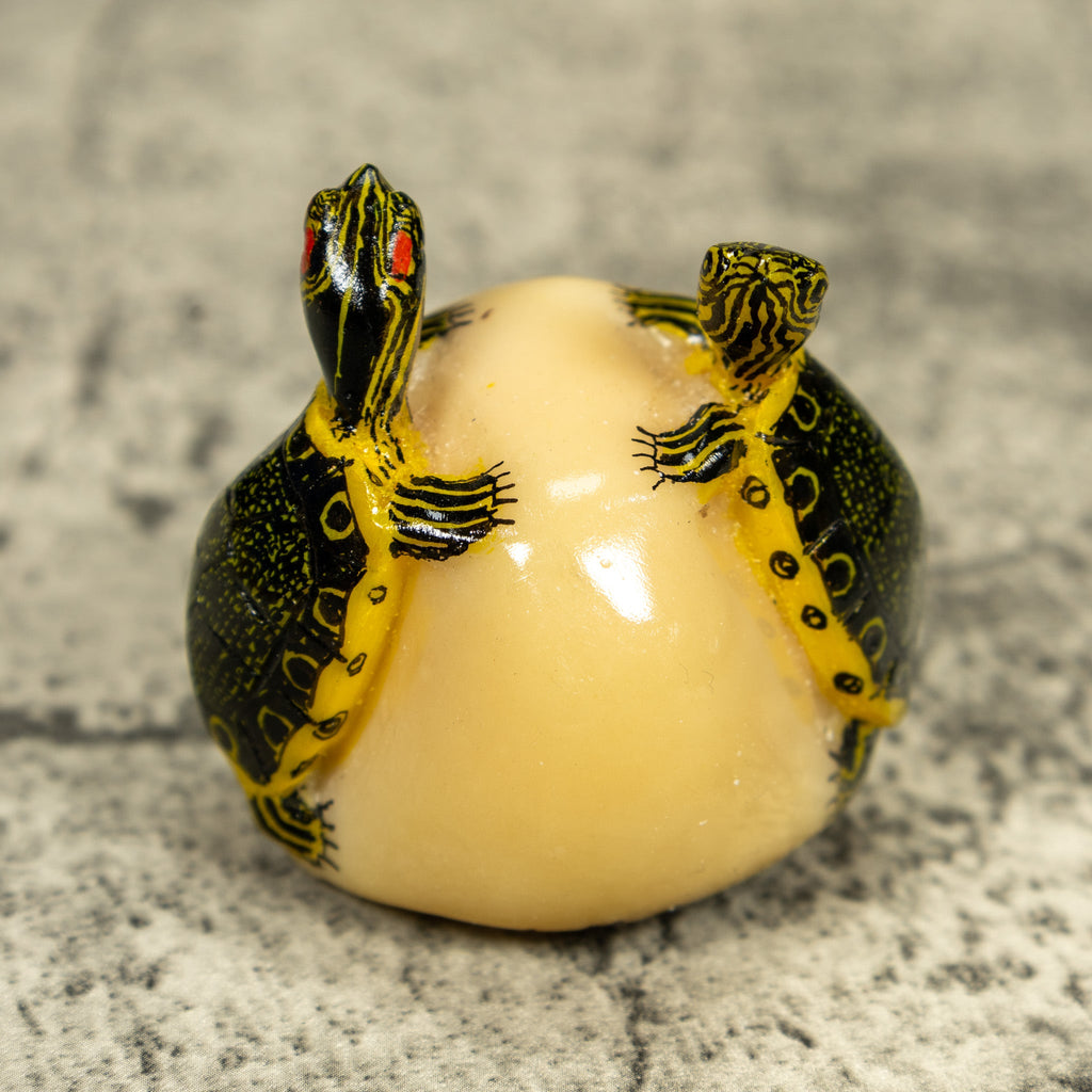 Double (2) Tortoise Turtle Tagua Carving