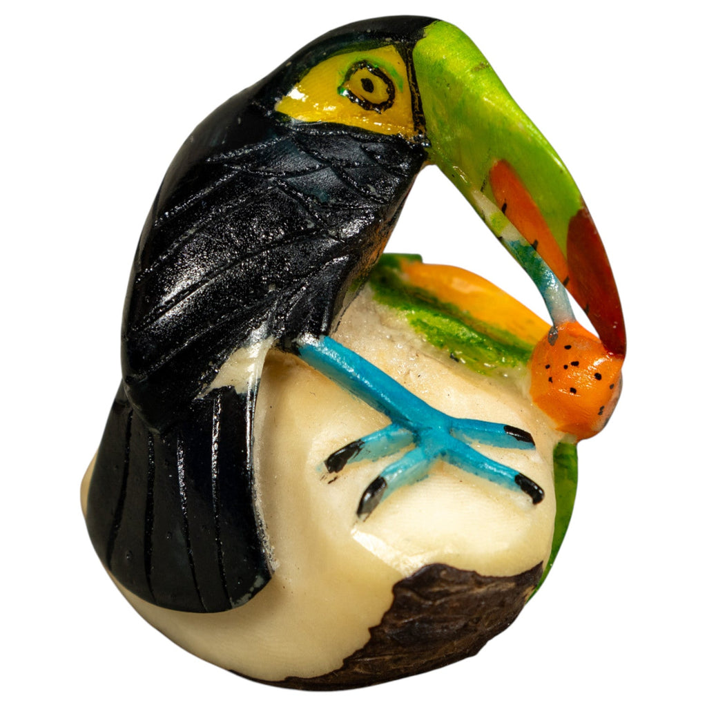 Toucan Parrot Bird Tagua Carving