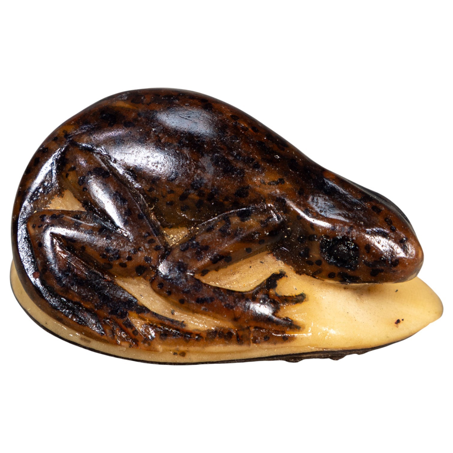 Vintage Brown Gecko Lizard Tagua Carving