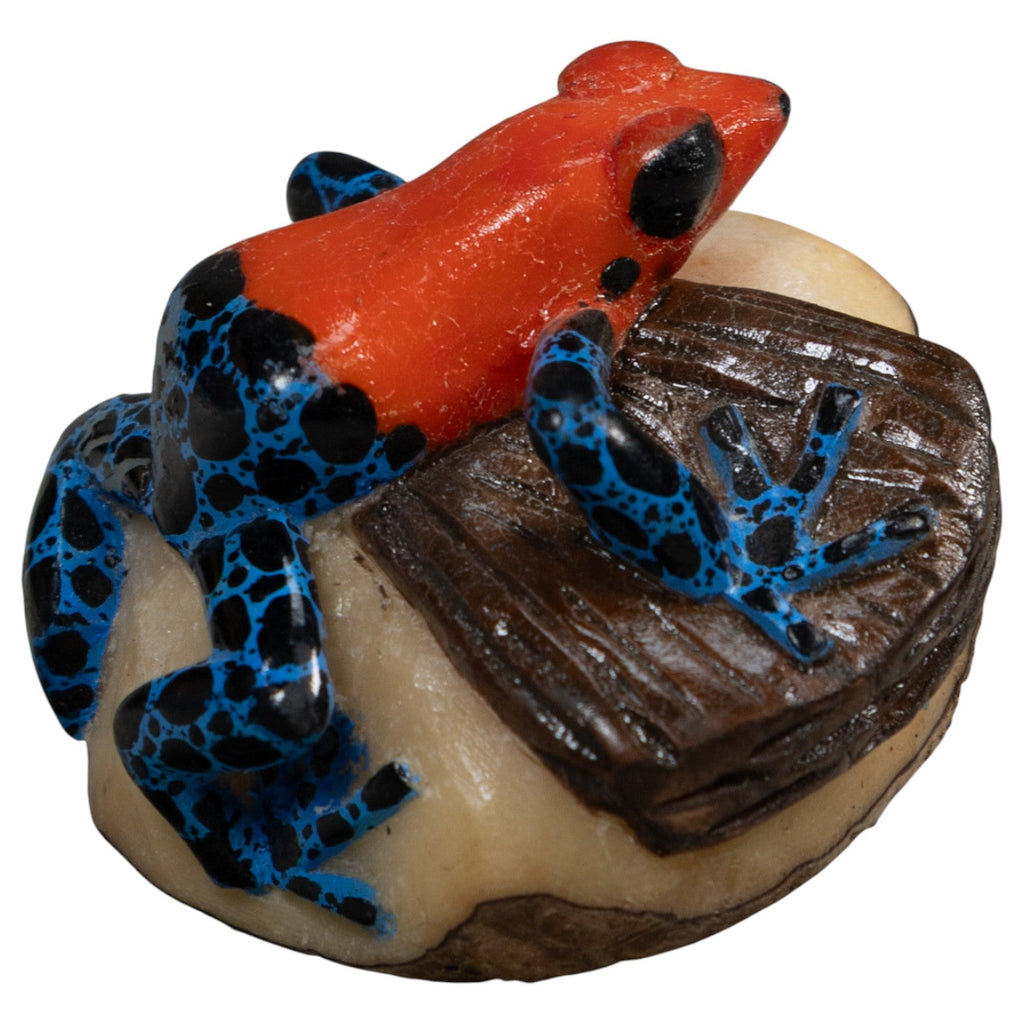 Red Blue And Black Poison Dart Frog Tagua Carving