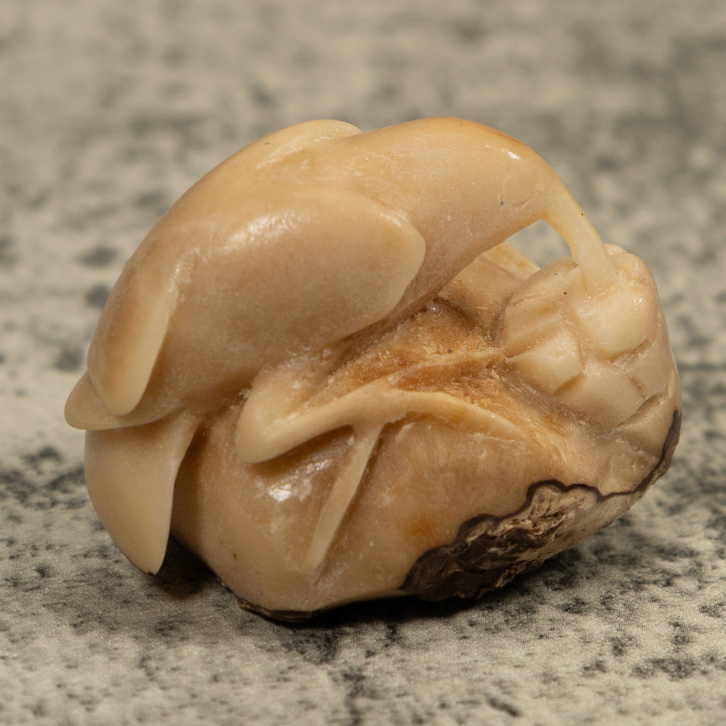 Vintage Natural White Hummingbird Tagua Carving