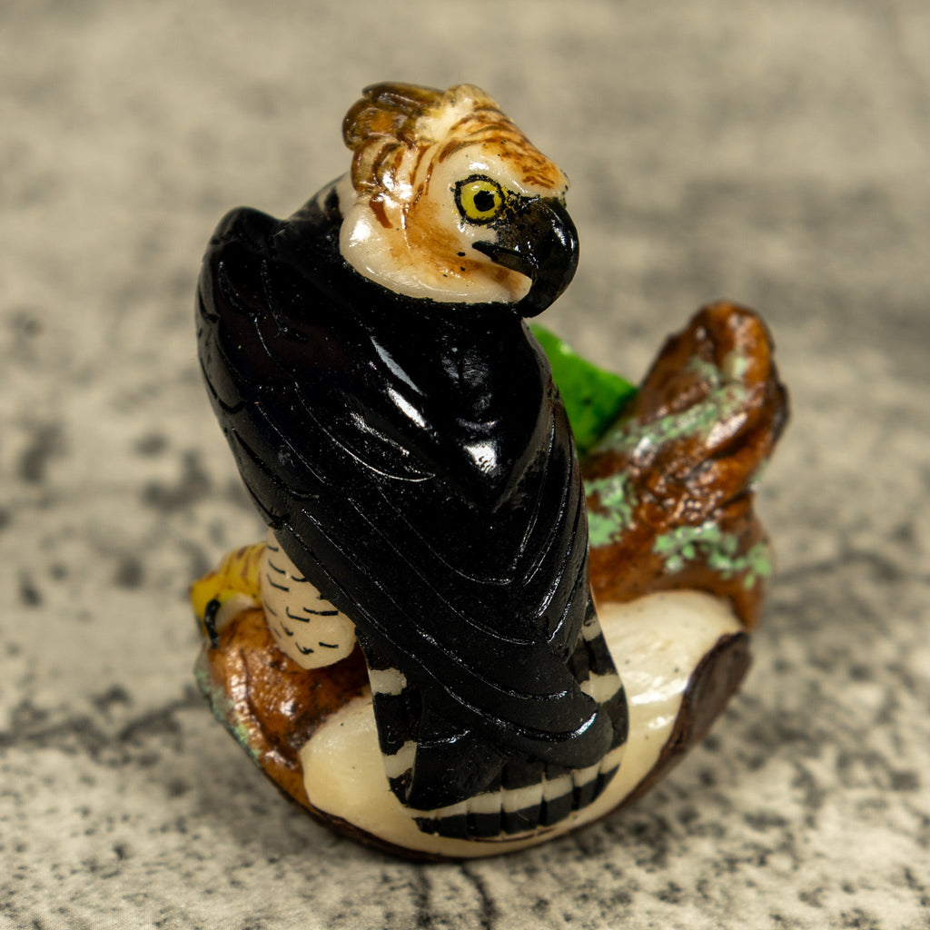 Magnificent Endangered Harpy Eagle Tagua Carving