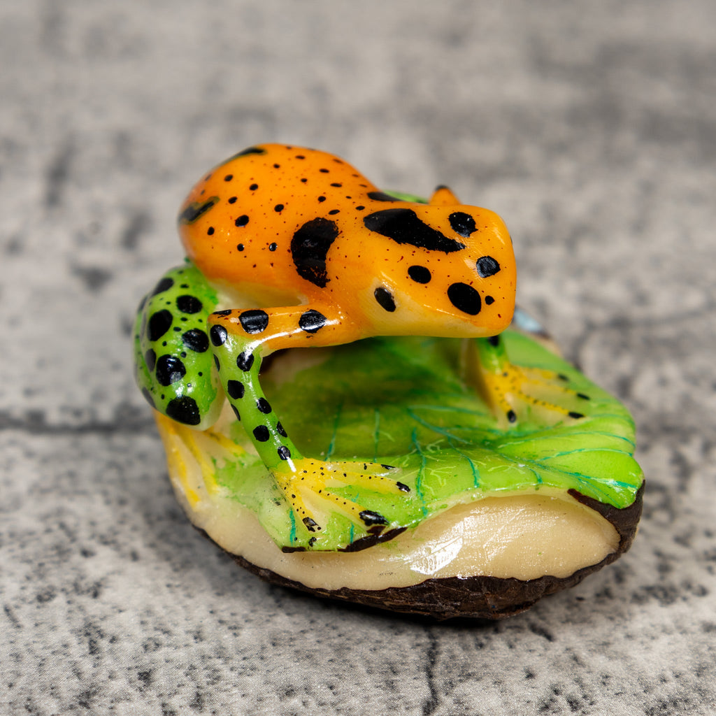 Green Gold And Black Poison Dart Frog Tagua Carving