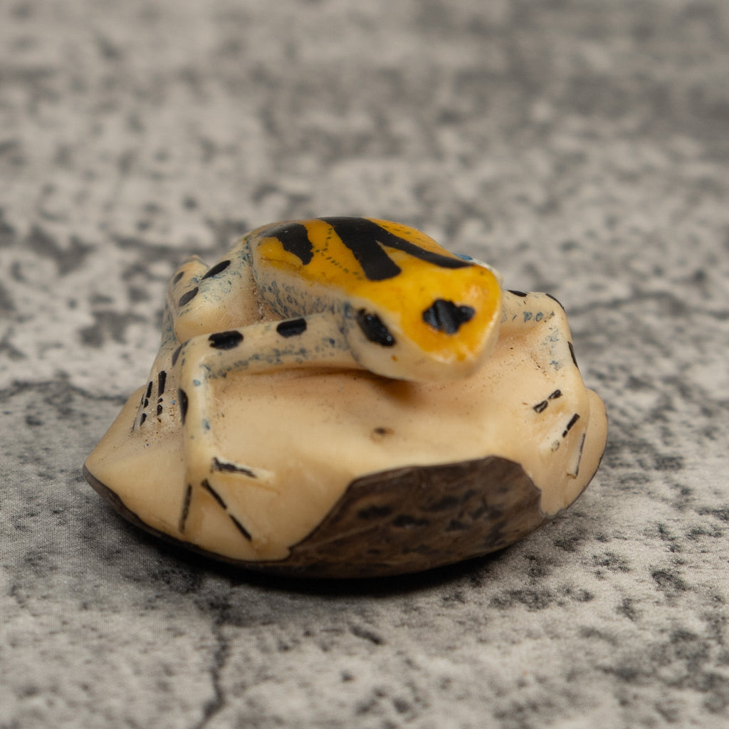 Gold Black And Blue Poison Dart Frog Tagua Carving