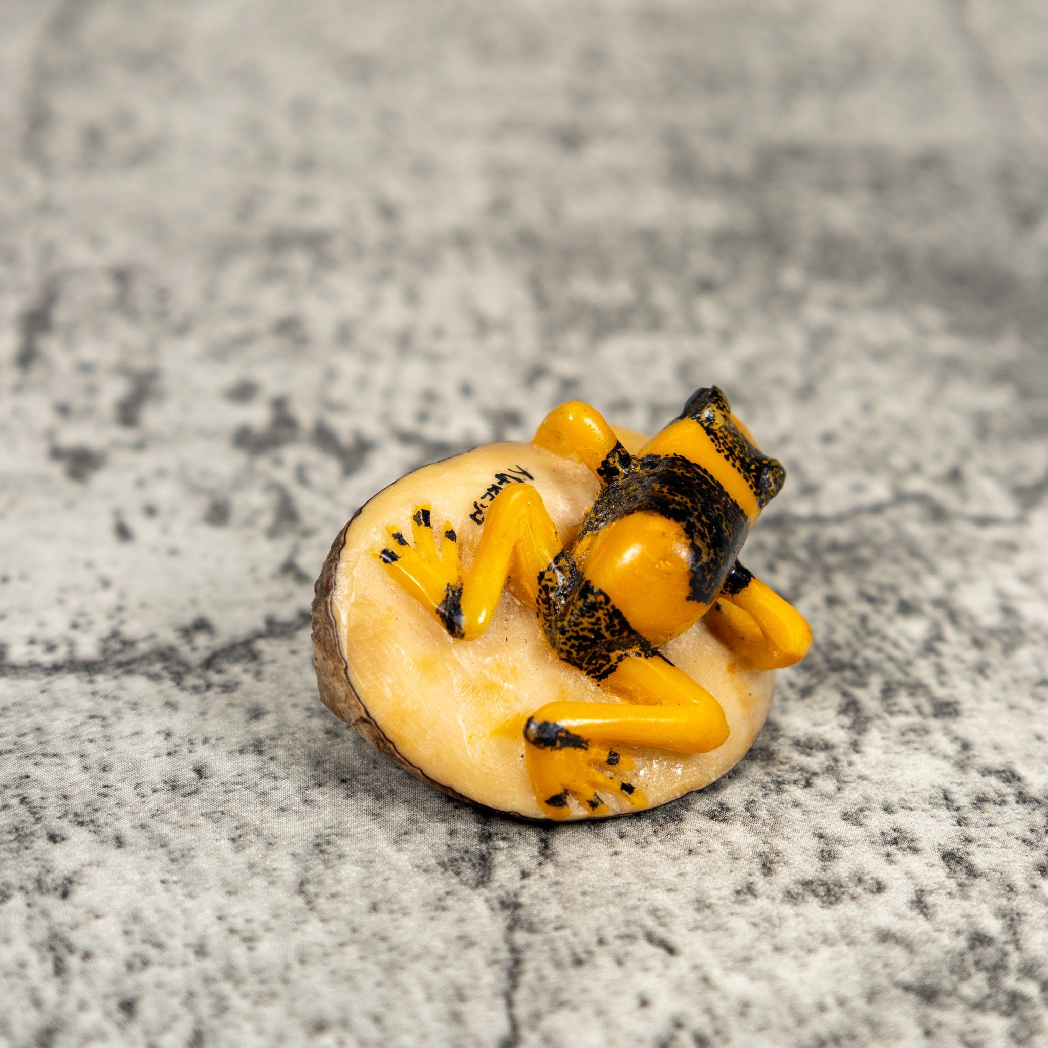 Gold And Black Poison Dart Frog Tagua Carving
