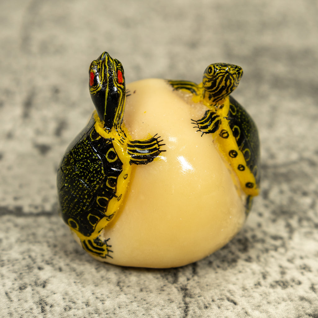 Double (2) Tortoise Turtle Tagua Carving