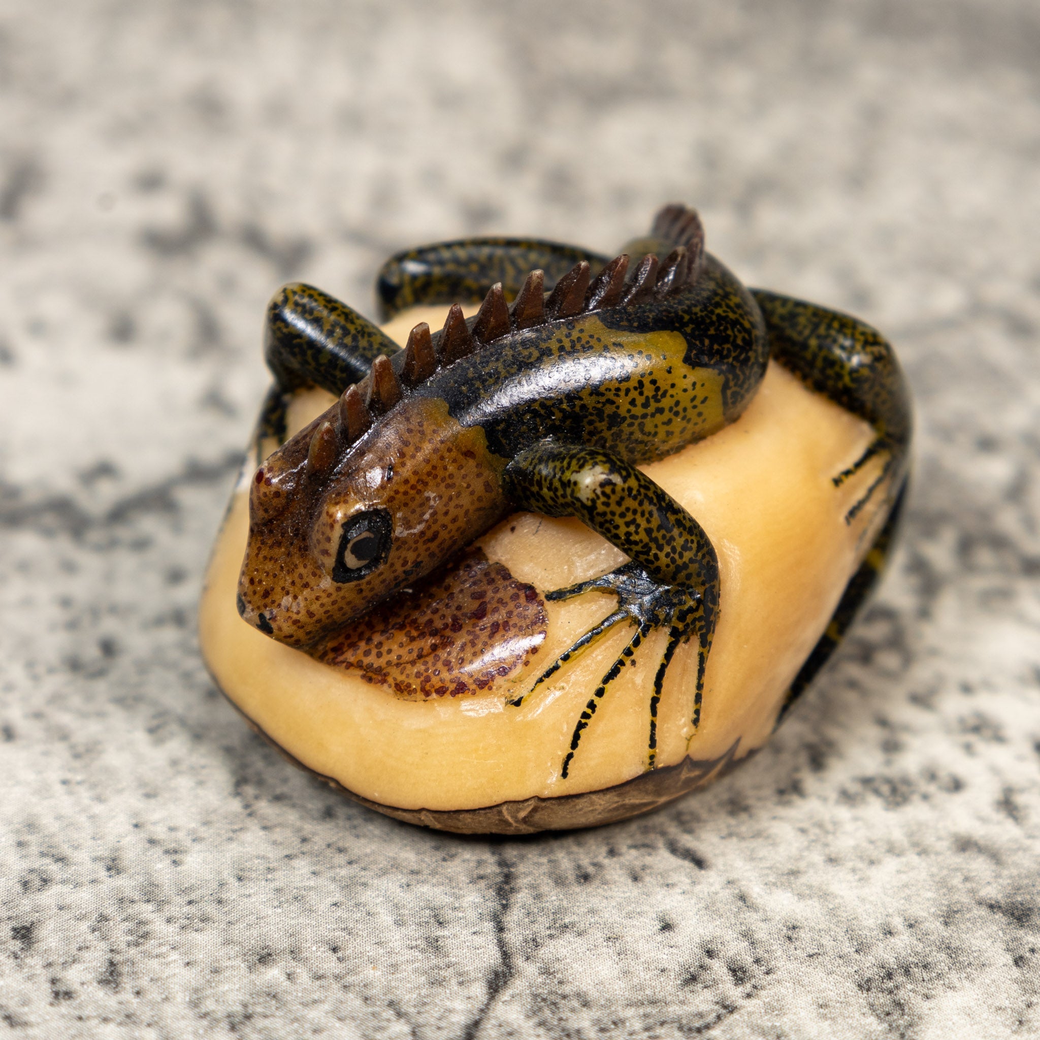 Brown Black And Green Iguana Lizard Tagua Carving
