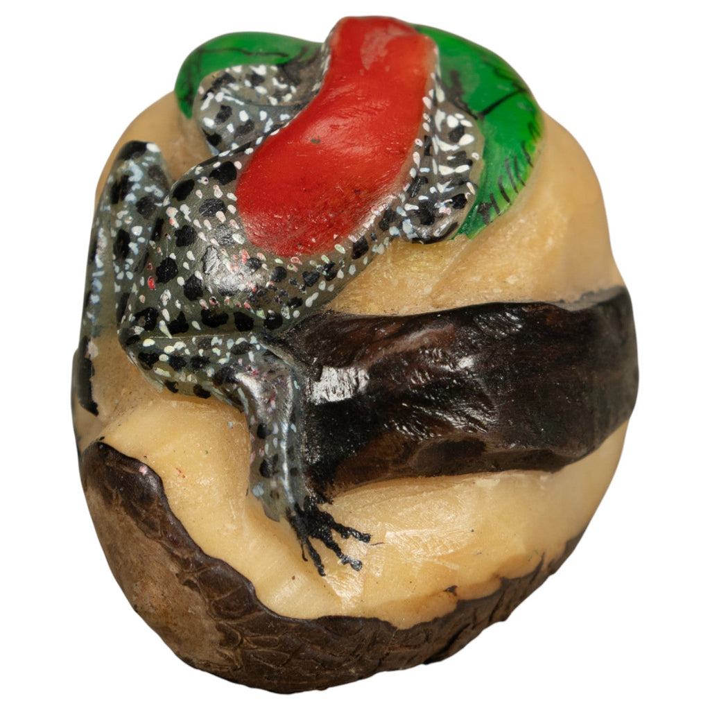 Black Red And White Poison Dart Frog Tagua Carving