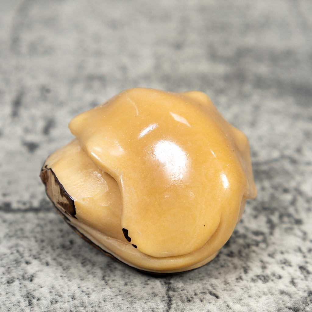 Natural White Ocean Stingray Tagua Carving
