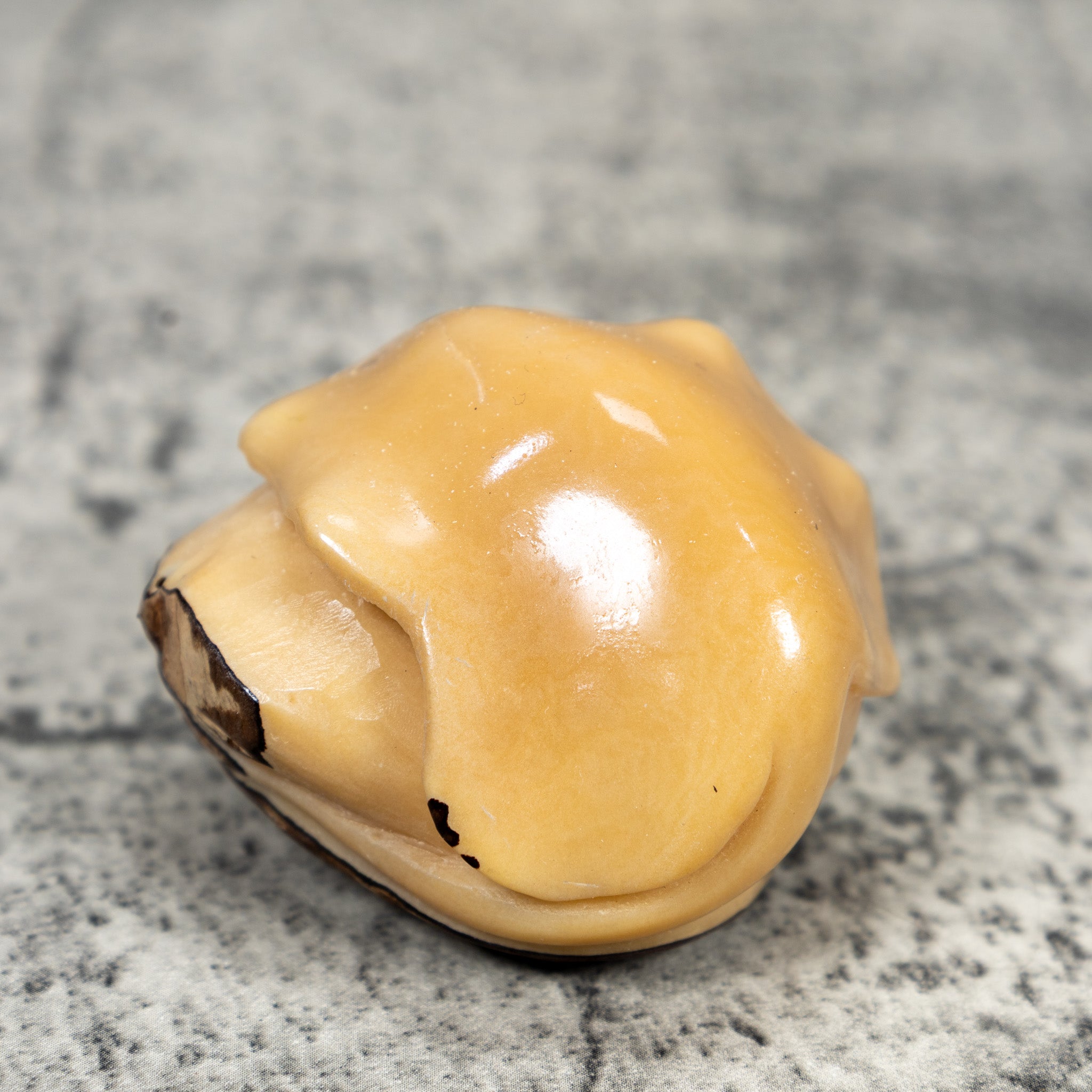 Natural White Ocean Stingray Tagua Carving