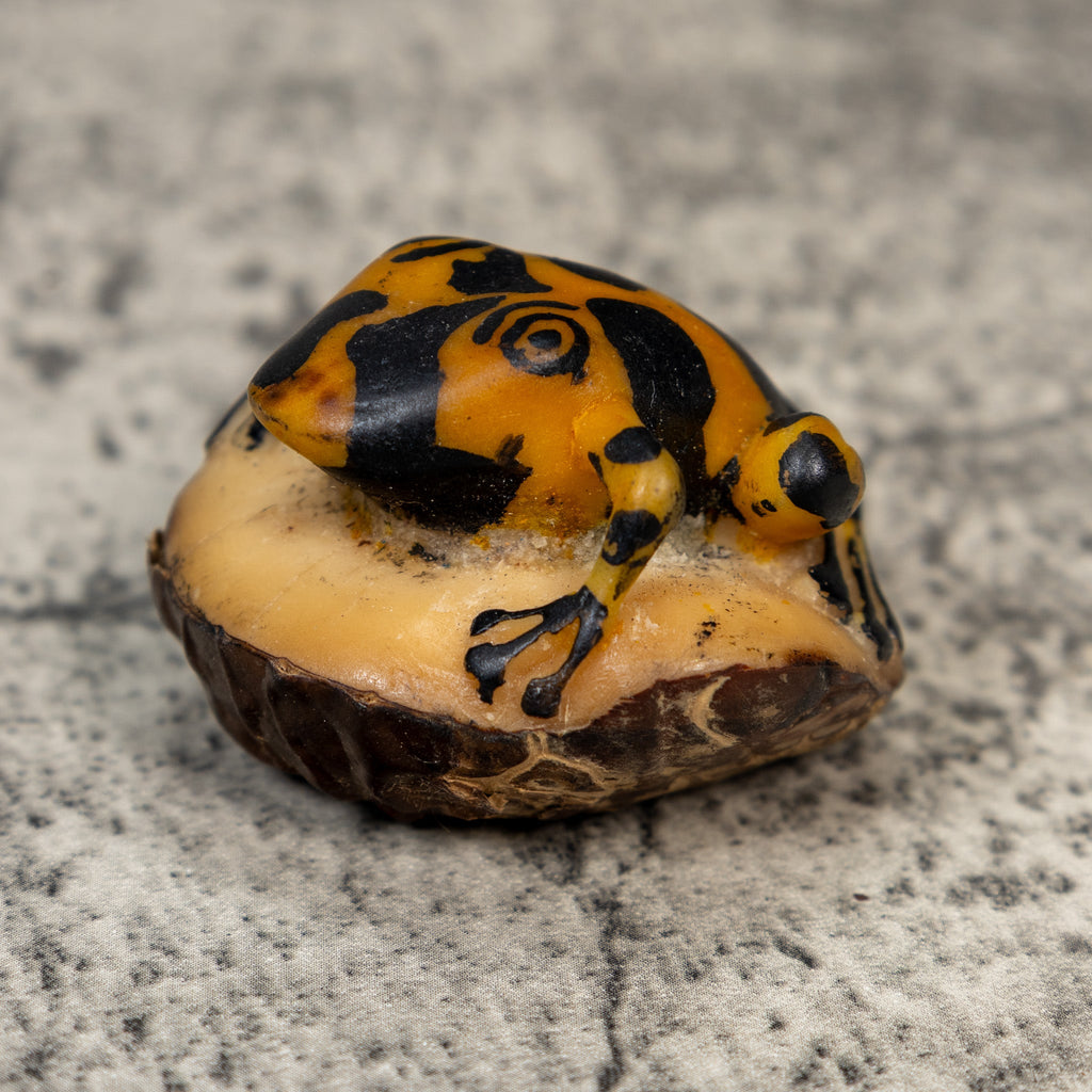 Vintage Black And Gold Frog Tagua Carving