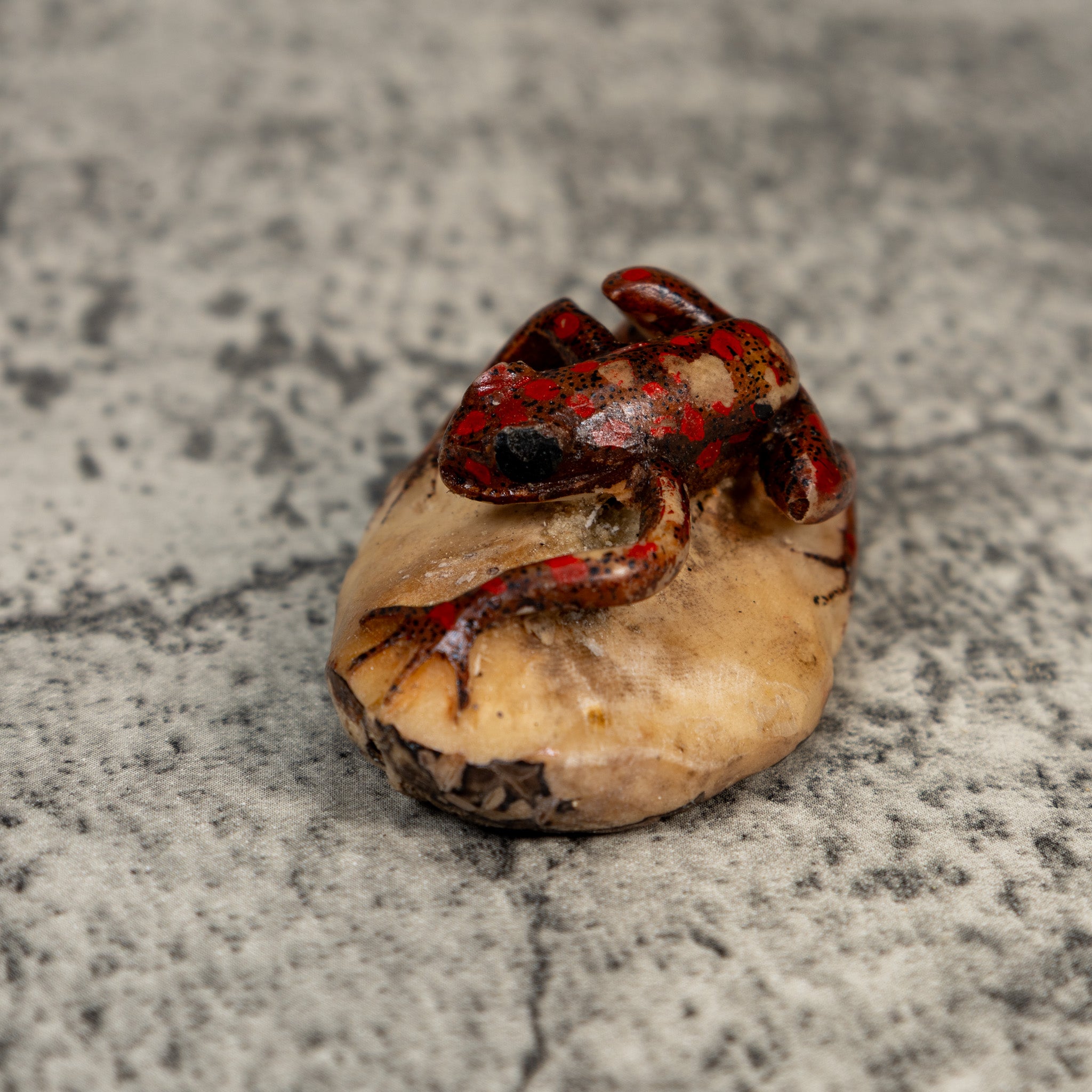 Vintage Black And Red Weird Frog Tagua Carving