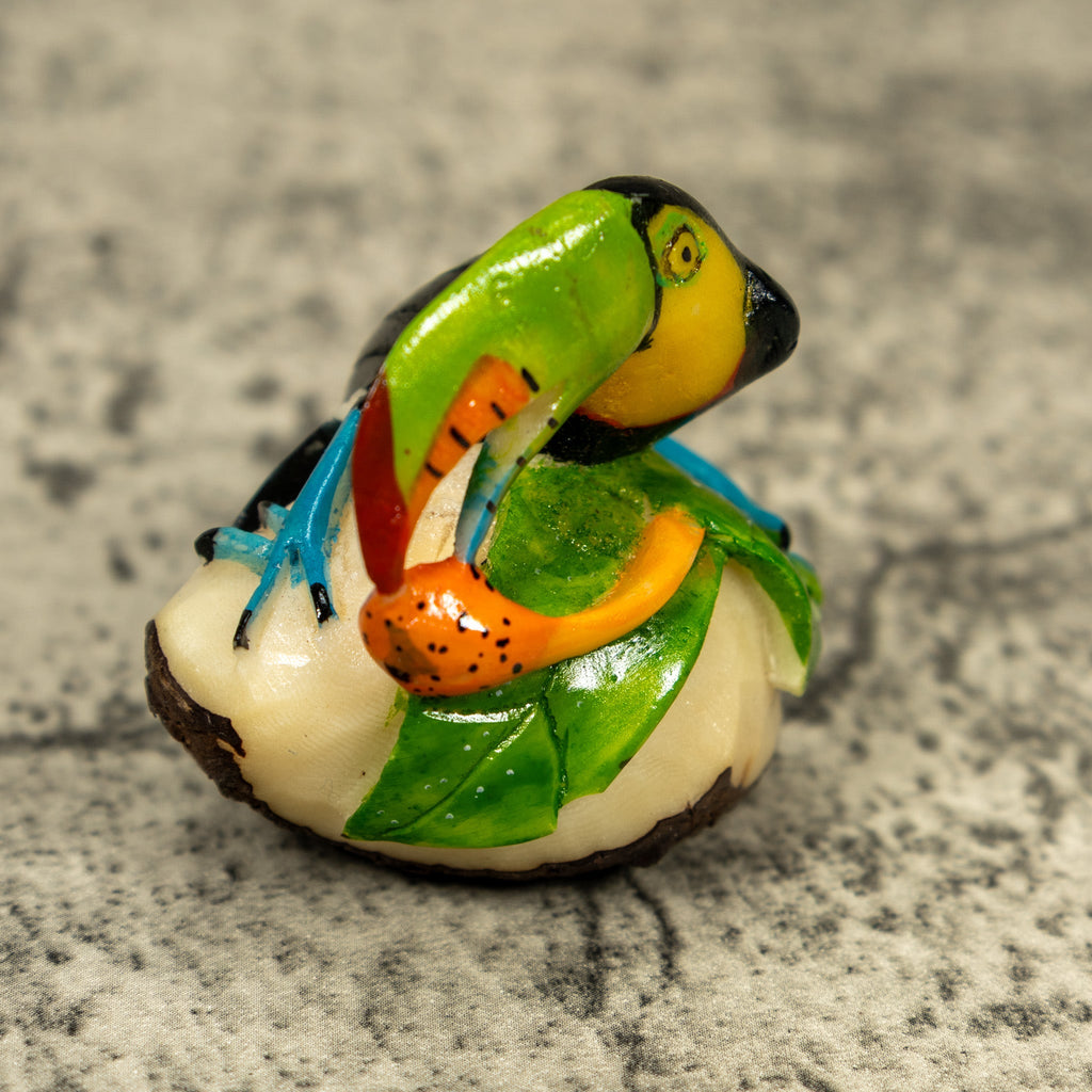 Toucan Parrot Bird Tagua Carving
