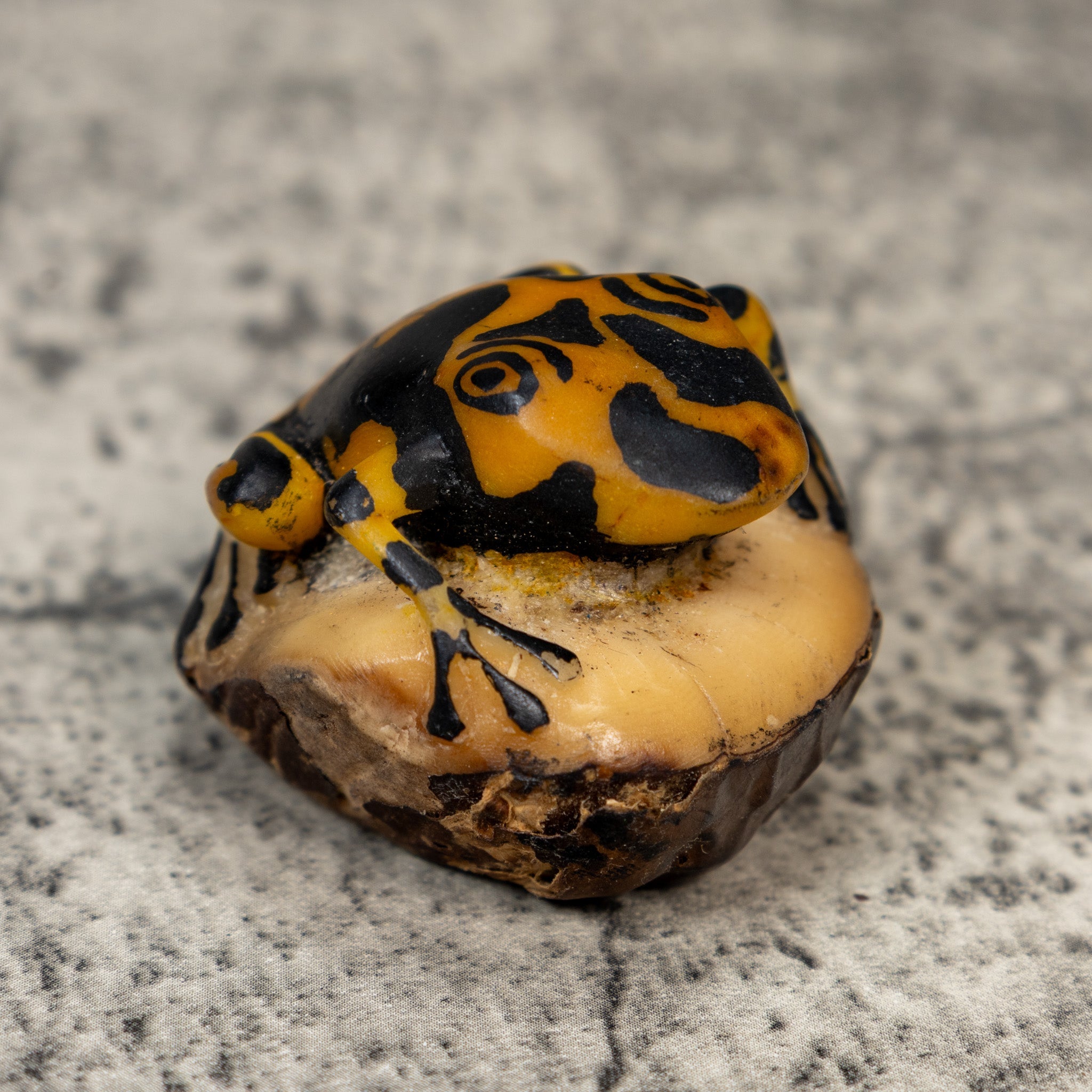 Vintage Black And Gold Frog Tagua Carving