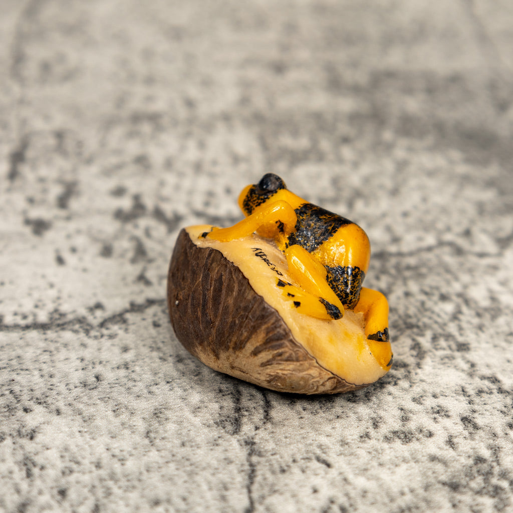 Gold And Black Poison Dart Frog Tagua Carving