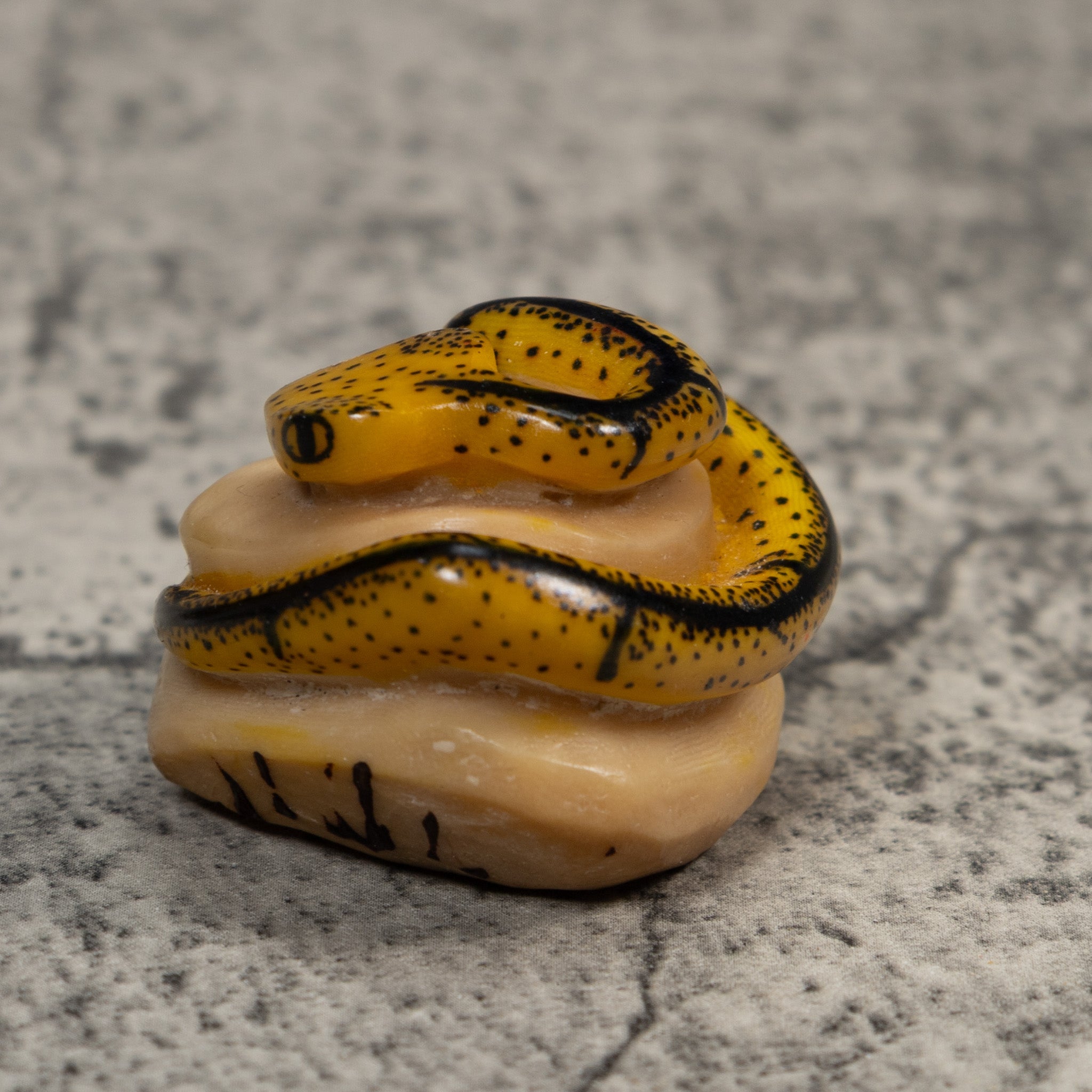 Black And Tan Bush Master Snake Tagua Carving