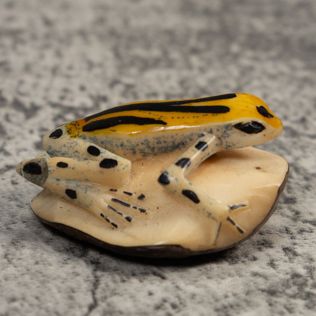 Gold Black And Blue Poison Dart Frog Tagua Carving