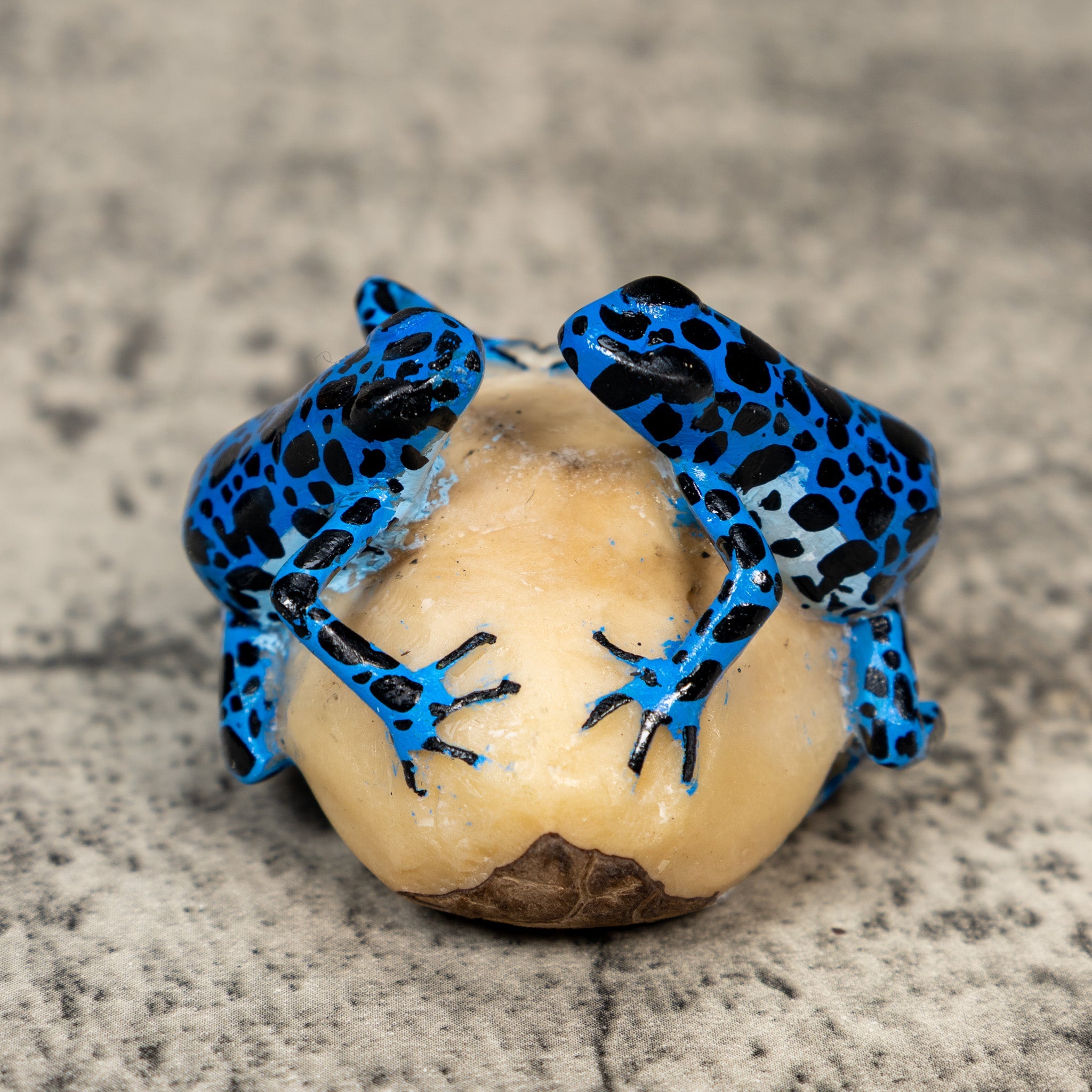 Blue And Black Double Frog Tagua Carving