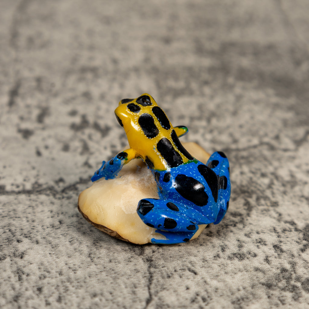 Black Blue And Gold Poison Dart Frog Tagua Carving