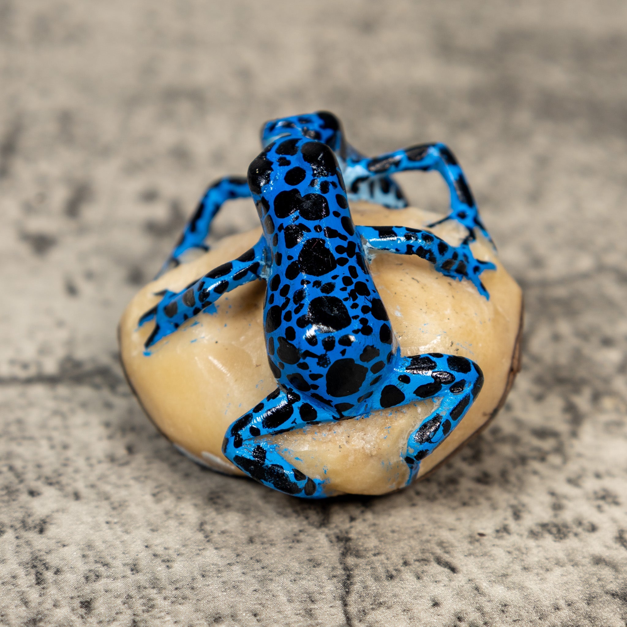 Blue And Black Double Frog Tagua Carving