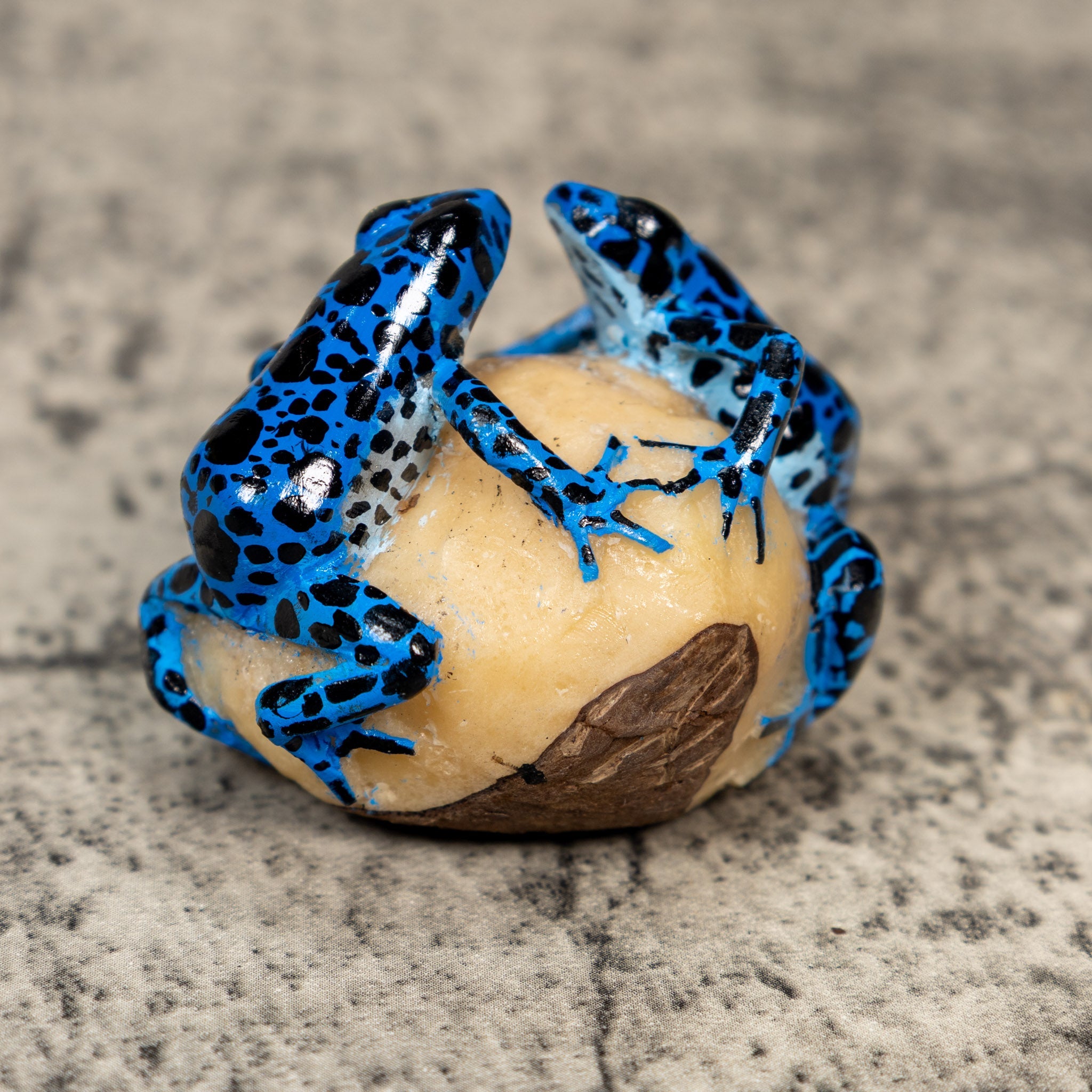 Blue And Black Double Frog Tagua Carving