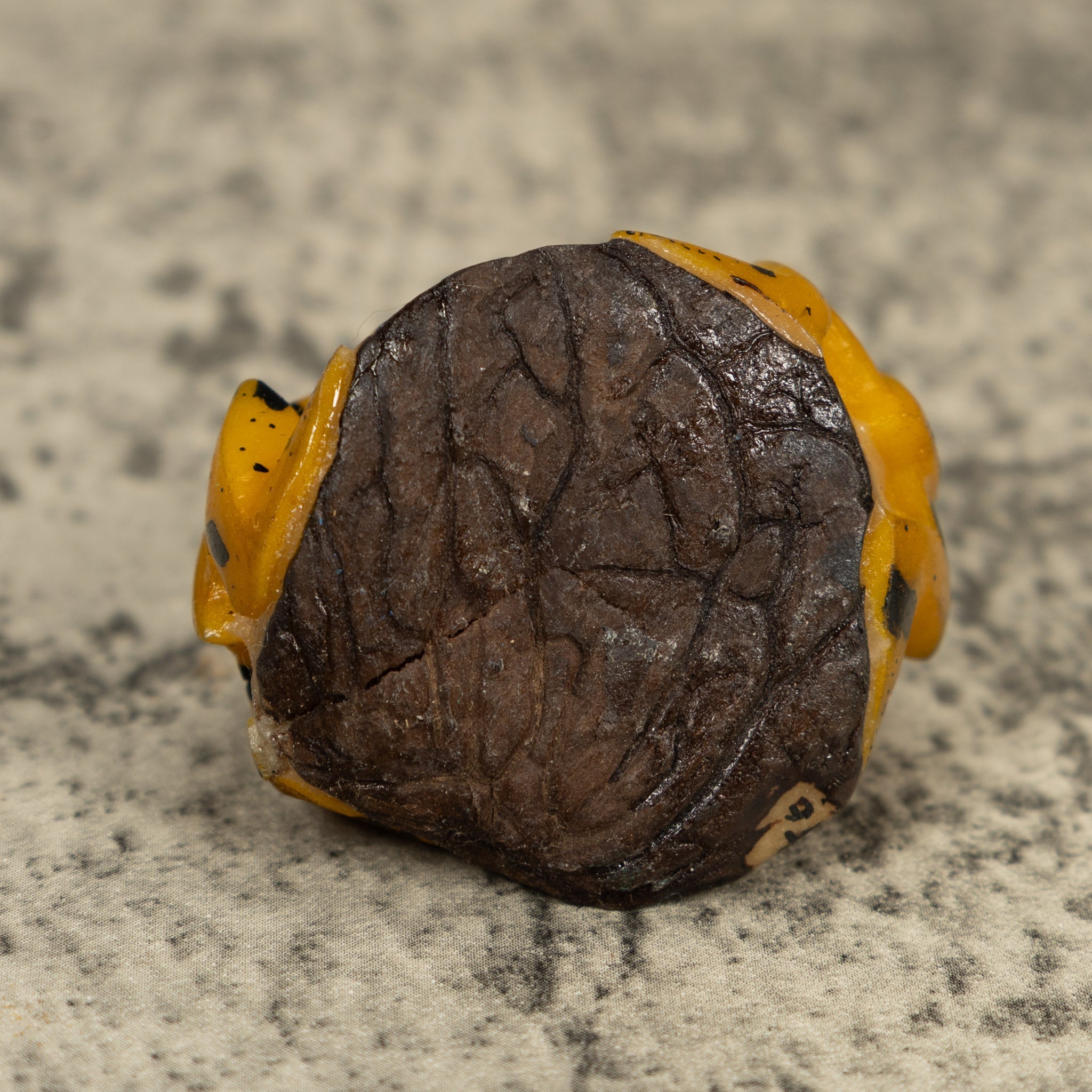 Vintage Gold And Black Double (2) Frog Tagua Carving