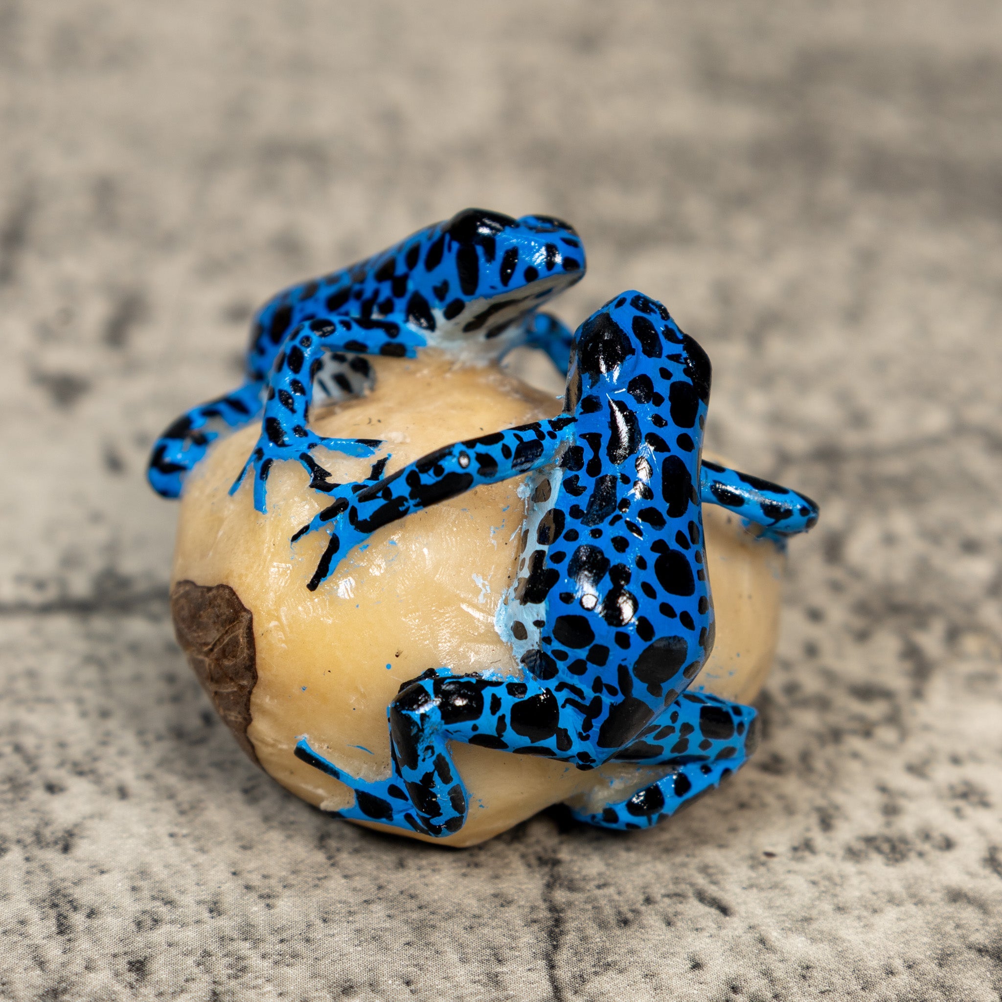 Blue And Black Double Frog Tagua Carving