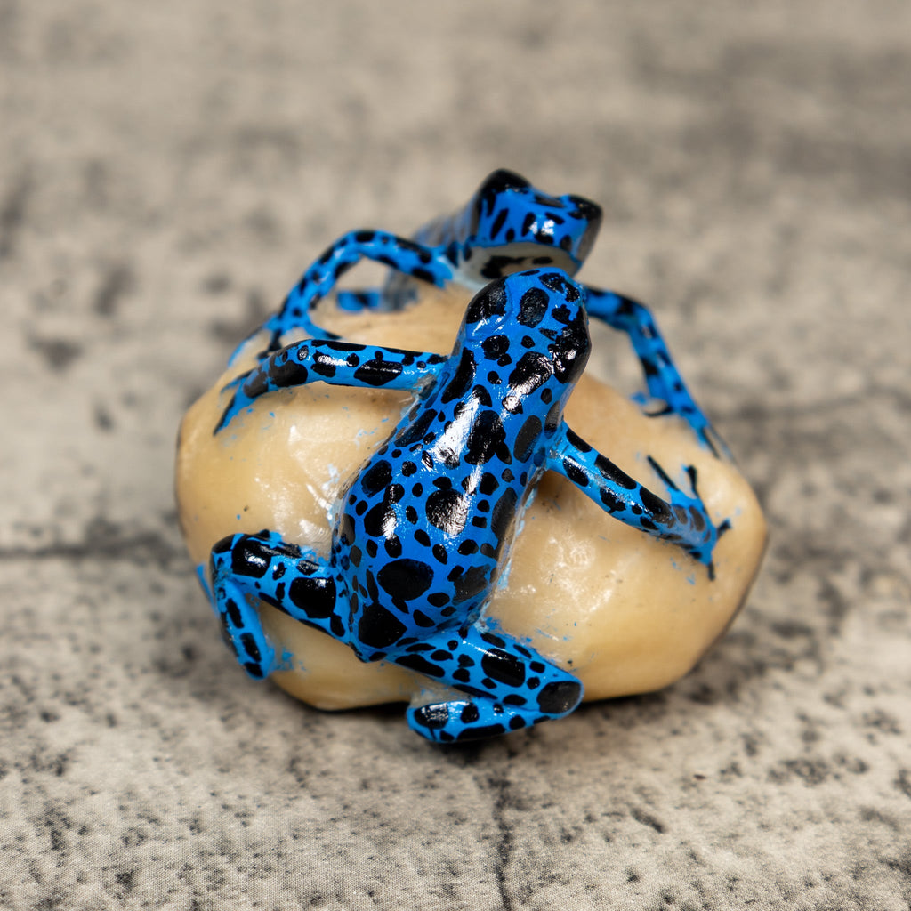 Blue And Black Double Frog Tagua Carving