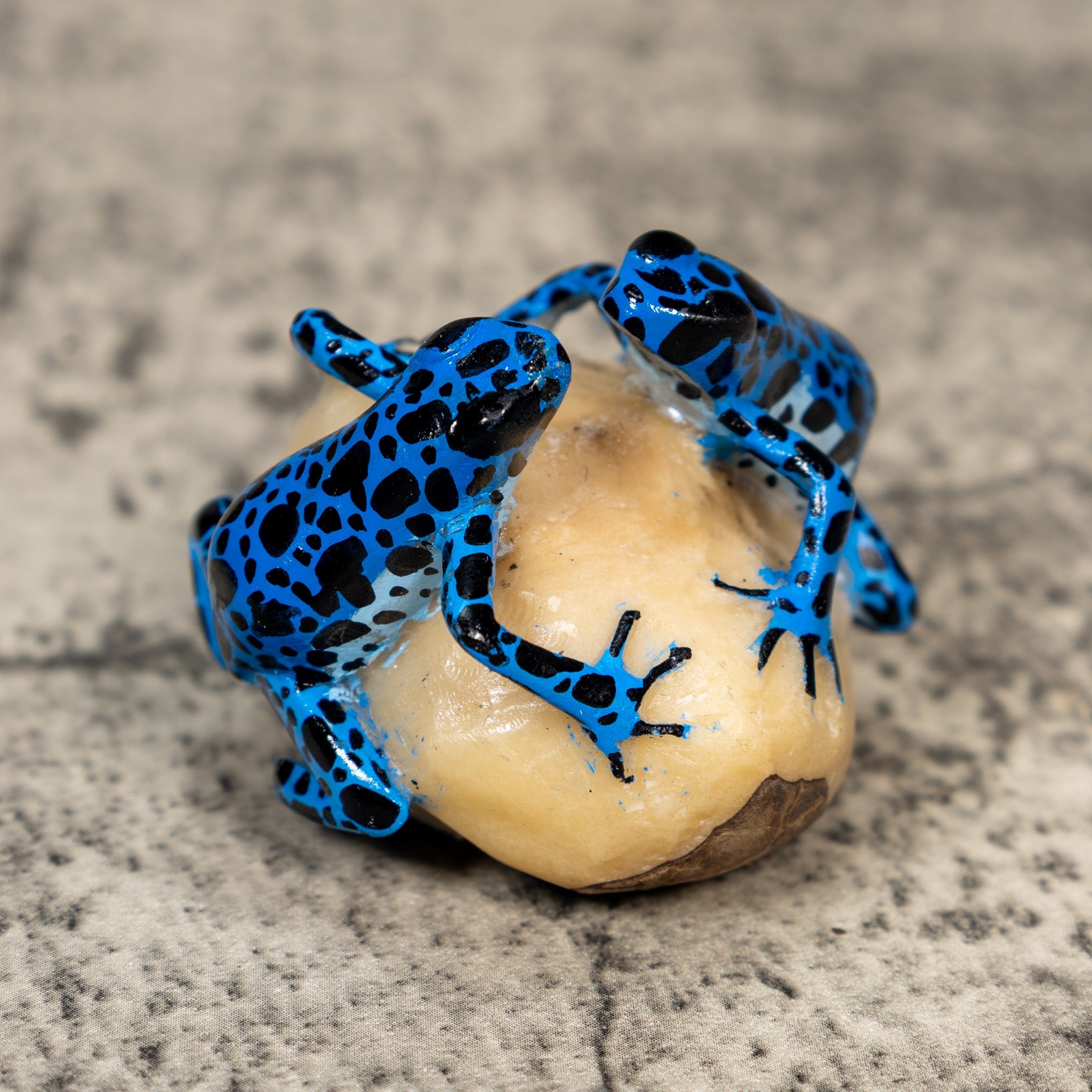 Blue And Black Double Frog Tagua Carving