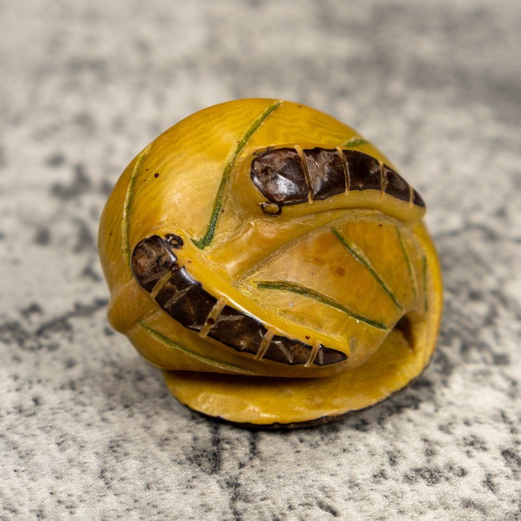 Vintage Caterpillar Tagua Carving