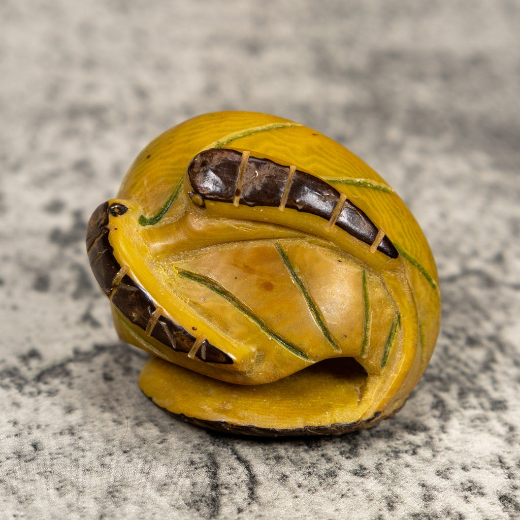 Vintage Caterpillar Tagua Carving