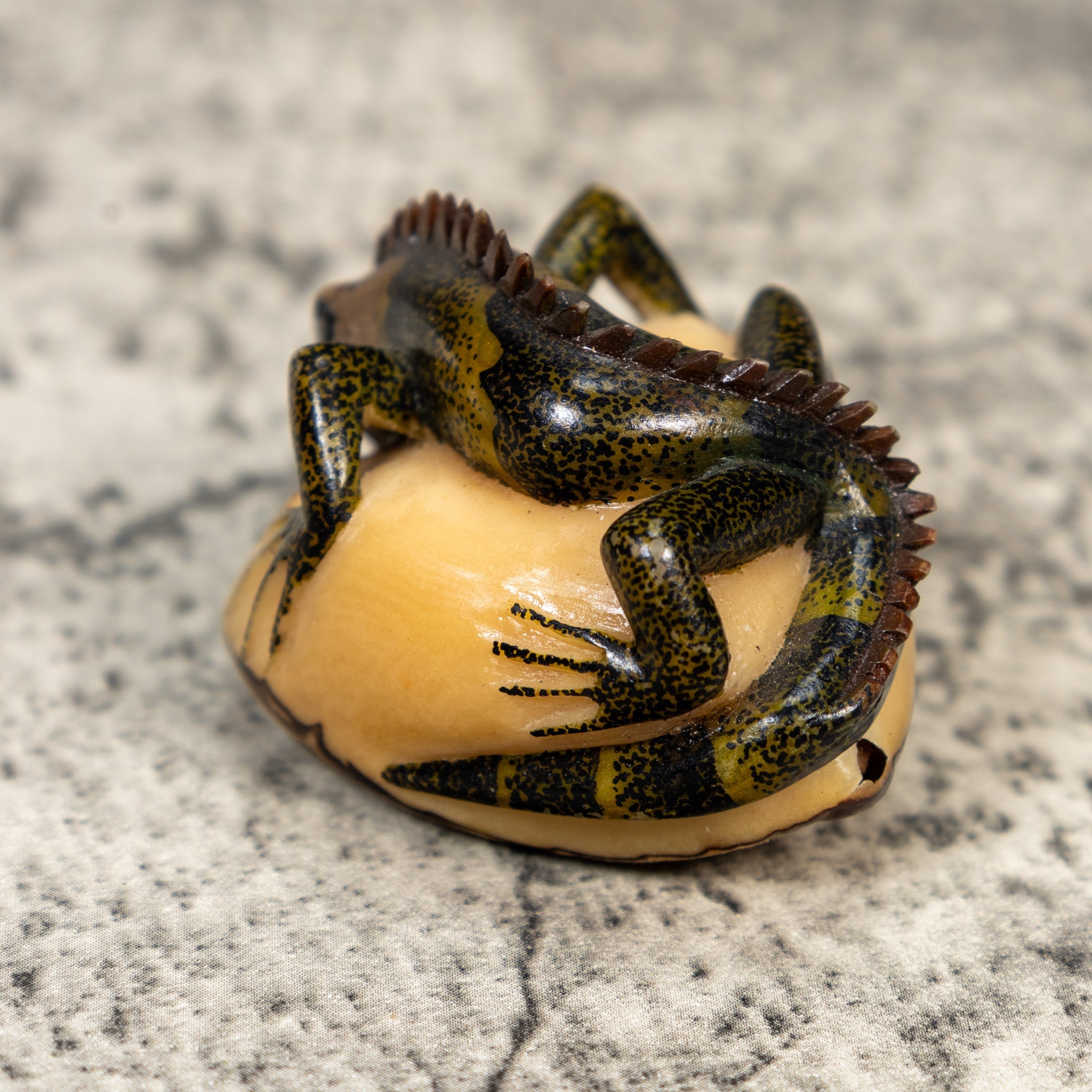 Brown Black And Green Iguana Lizard Tagua Carving